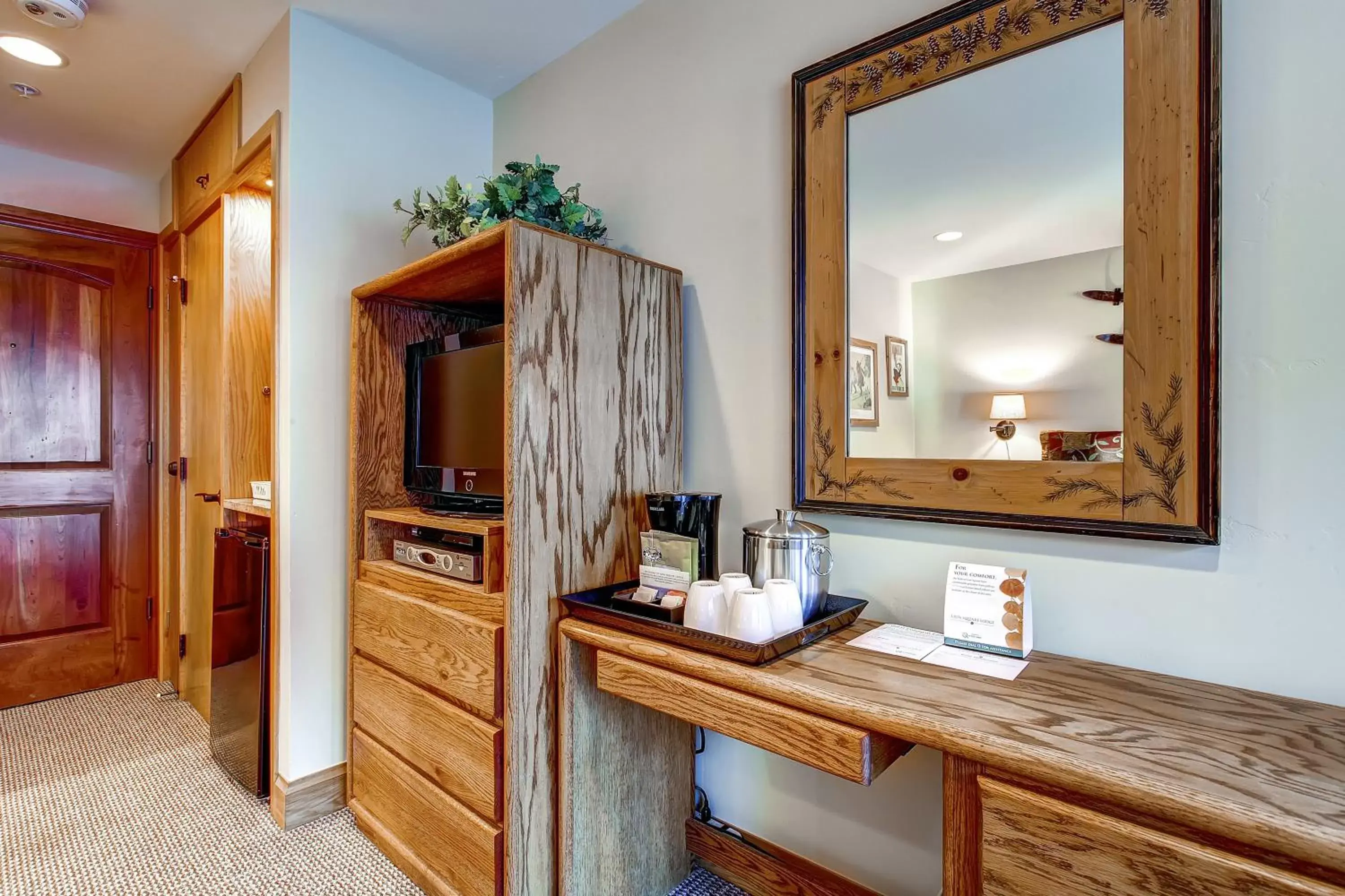 TV and multimedia, Bathroom in Lion Square Lodge