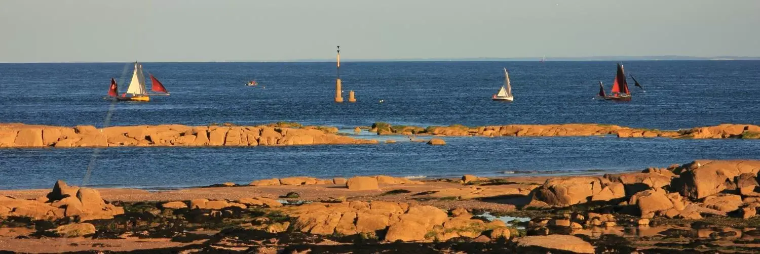 Beach in Hotel de France