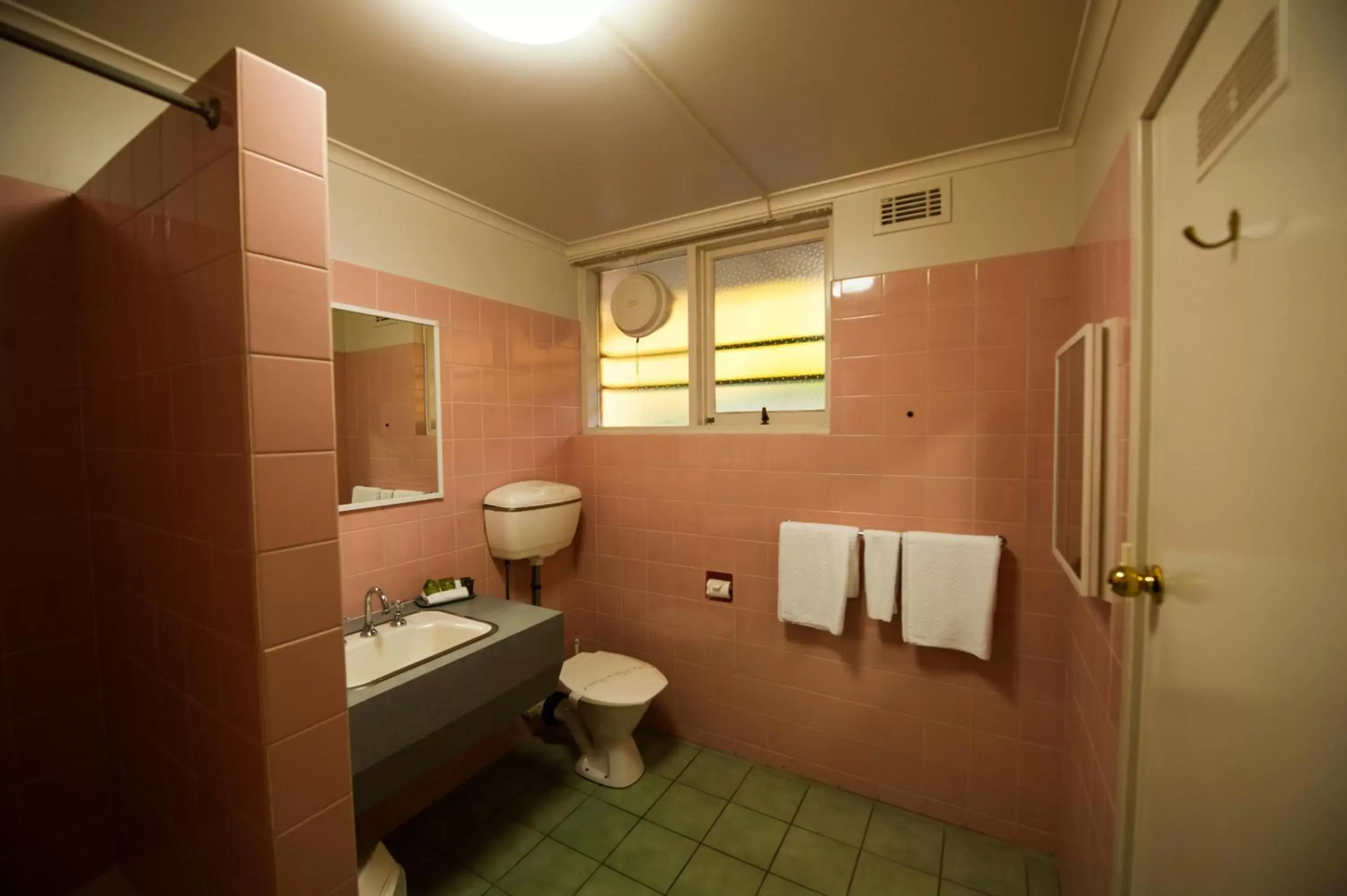 Bathroom in Parklane Motel