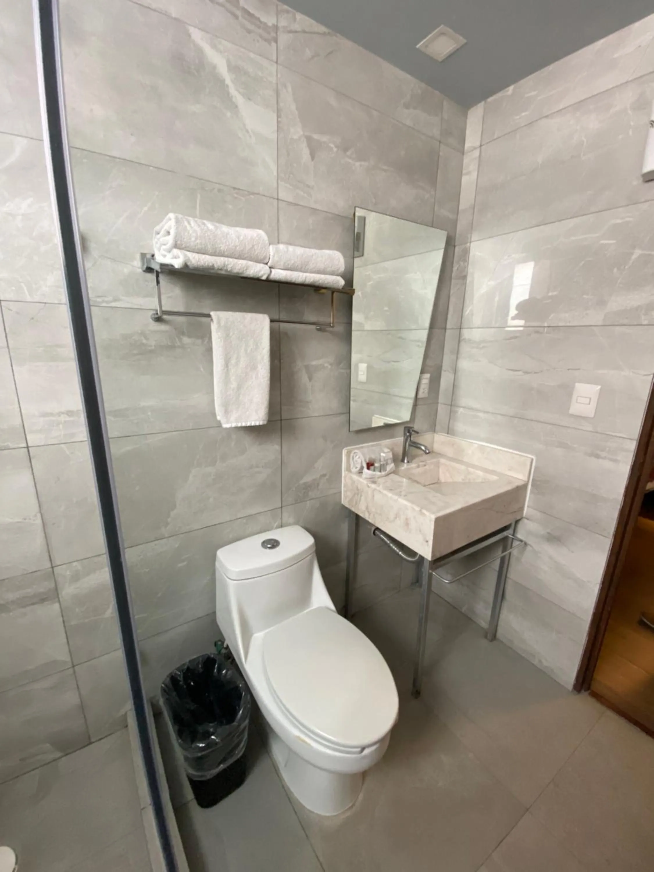 Shower in Suites Lerma 205