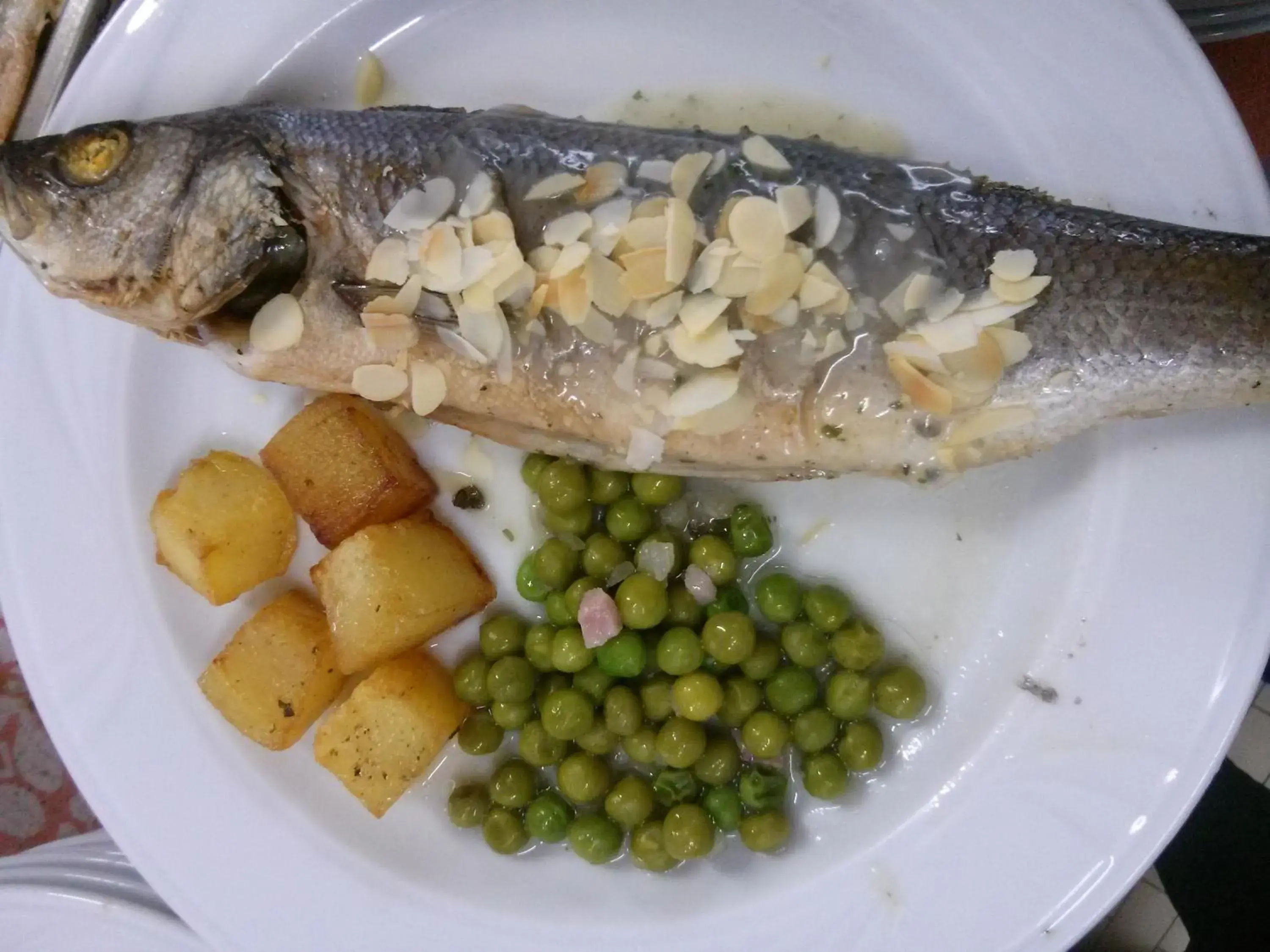 Meals, Food in Hotel Ridolfi
