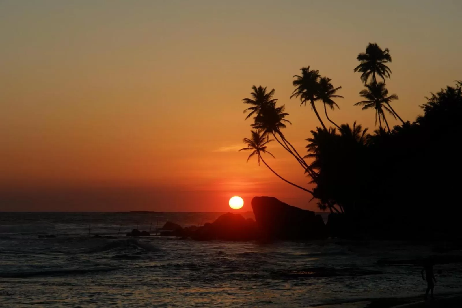 Natural landscape in Galawatta Beach Resort