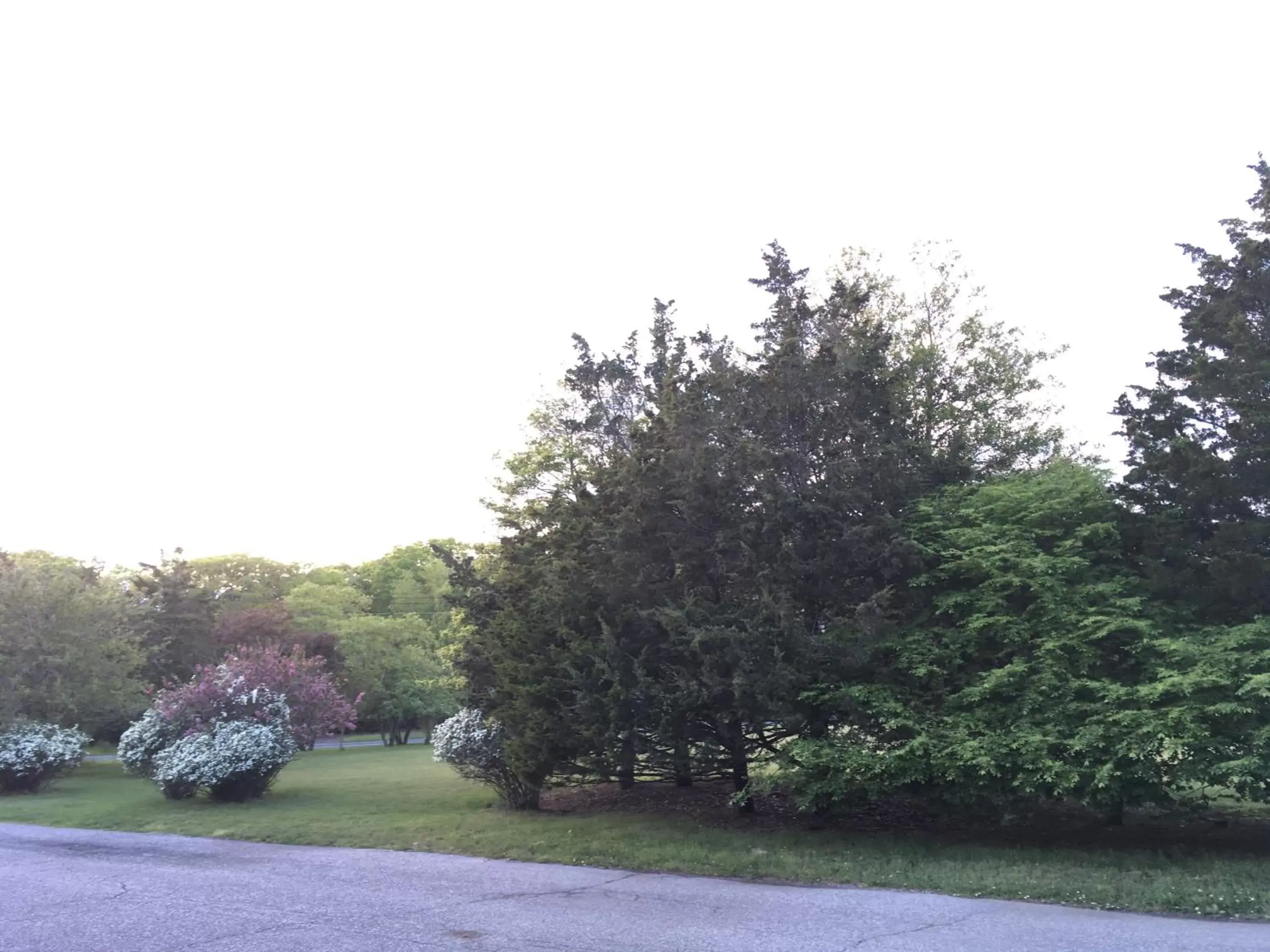 Street view, Garden in Westhampton Seabreeze Motel