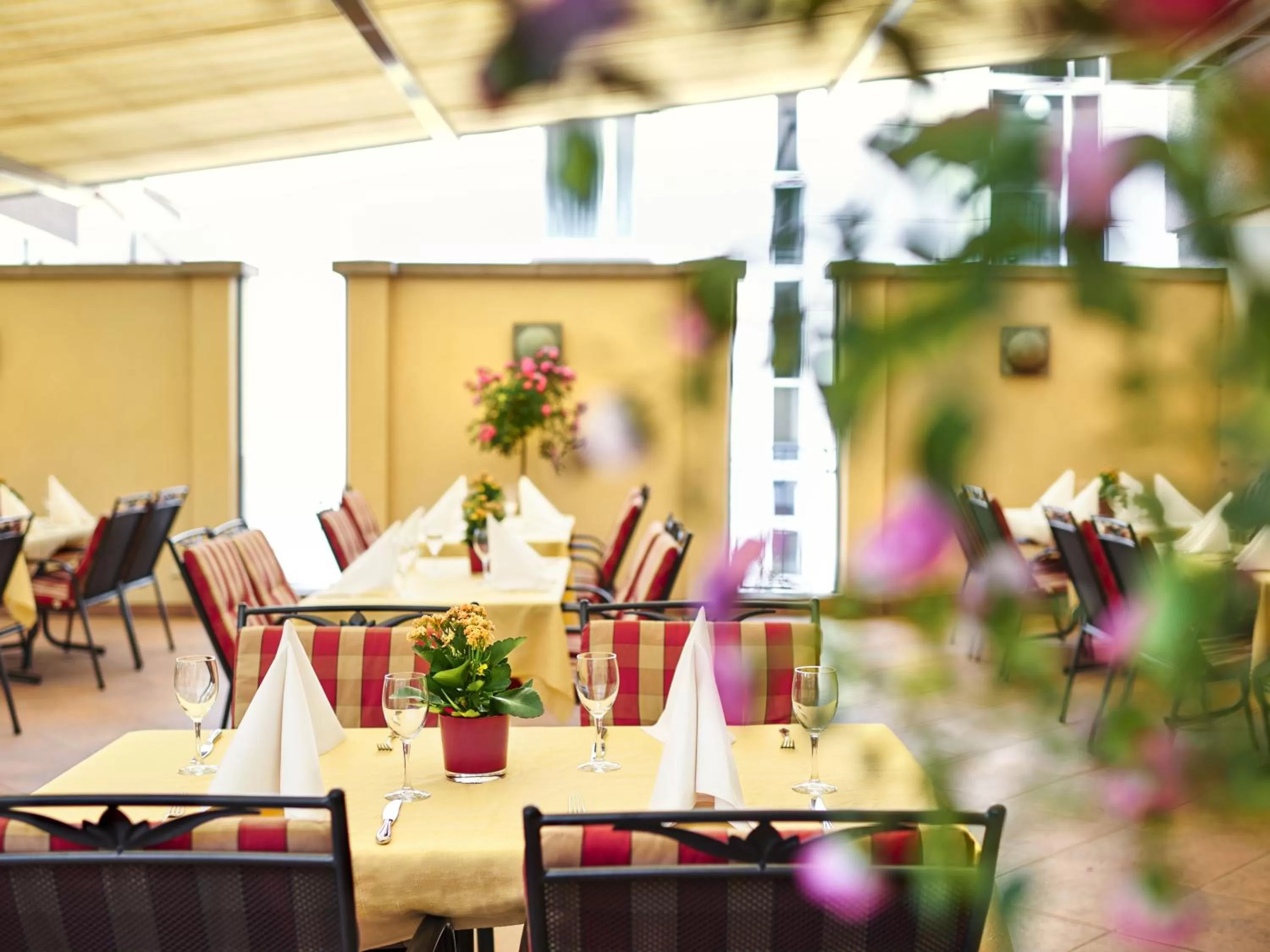 Balcony/Terrace in Hirsch Hotel