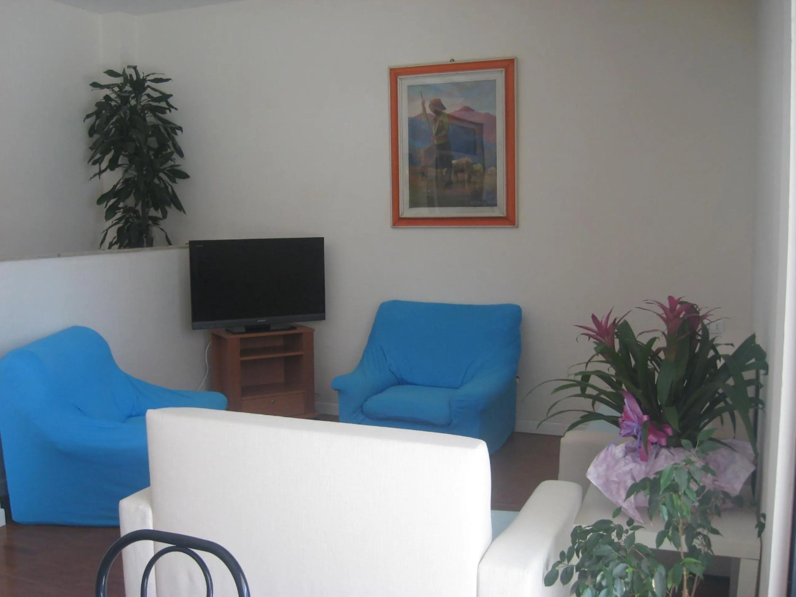 Communal lounge/ TV room in Hotel Cosmopolita