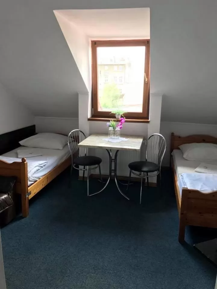 Small Twin Room in Hotel Gryf
