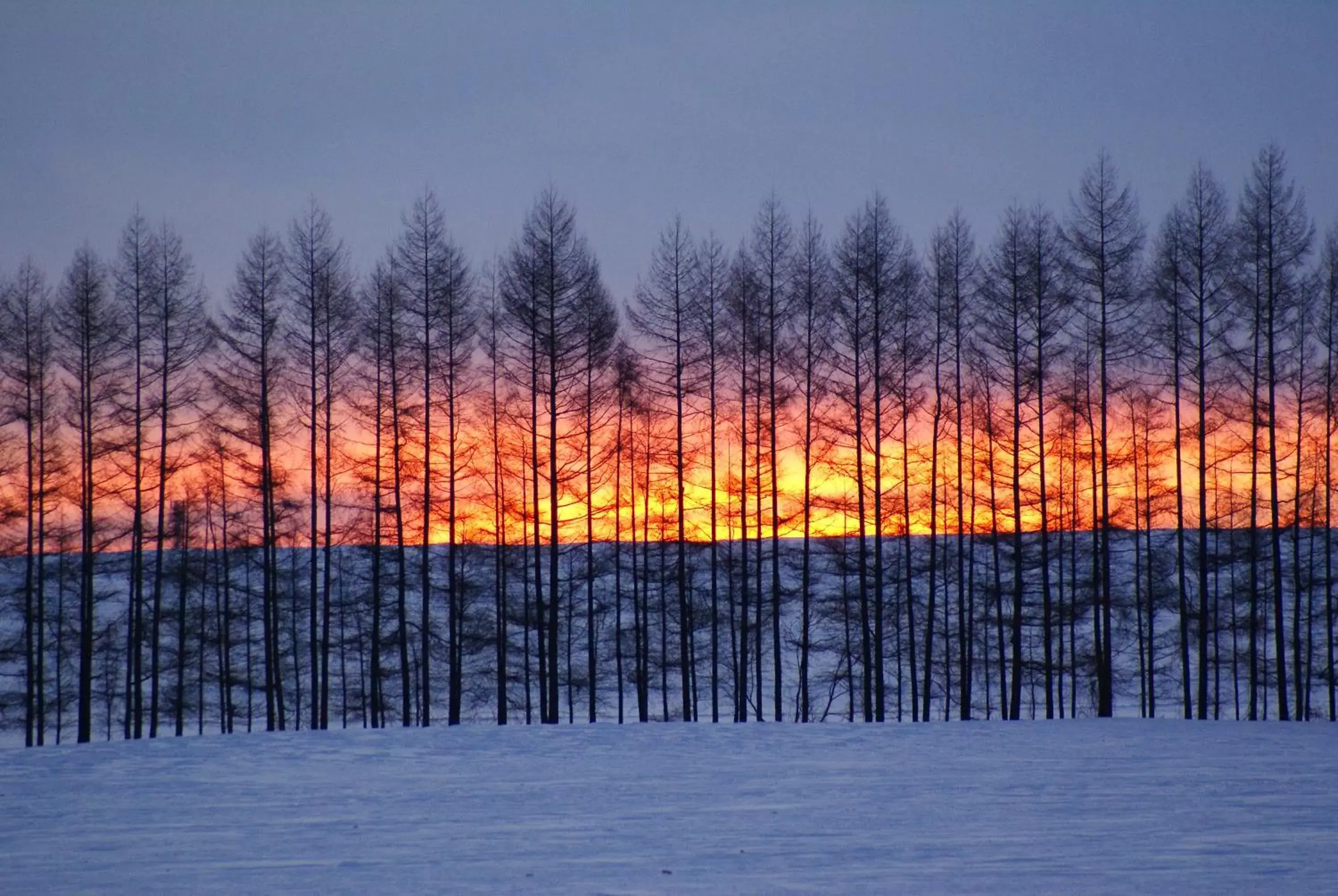 Natural Landscape in Hotel Nikko Northland Obihiro