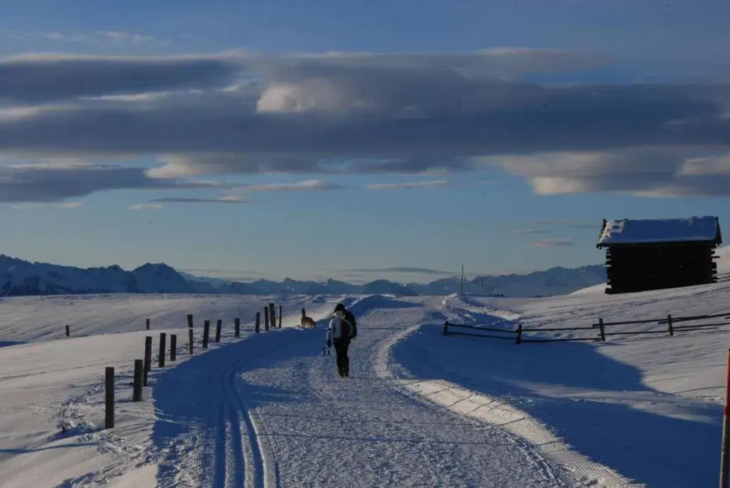 Natural landscape, Winter in Residence Obermoarhof