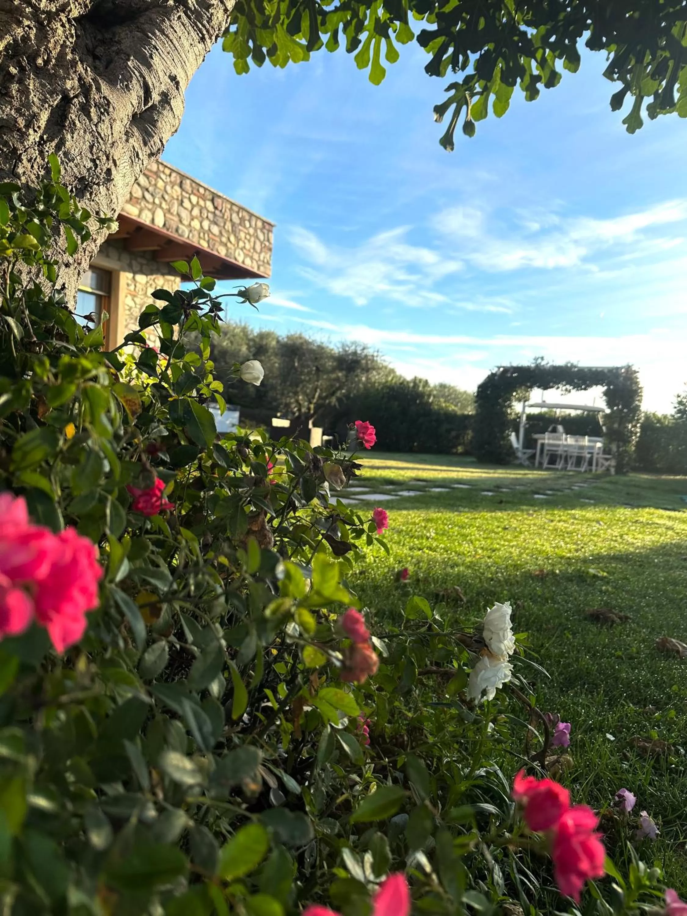 Garden in B&B Sovenigo