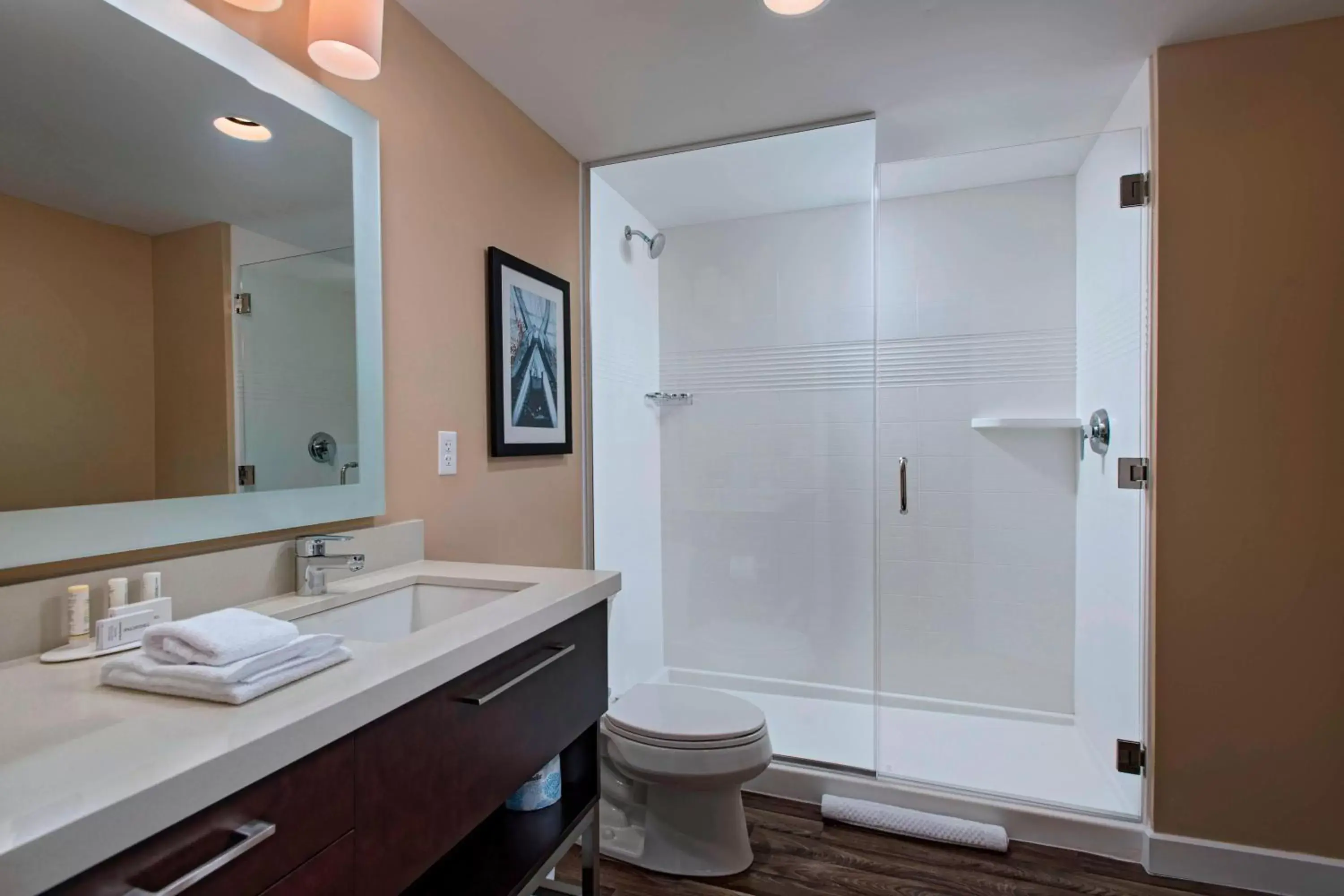 Bathroom in TownePlace Suites by Marriott Columbia