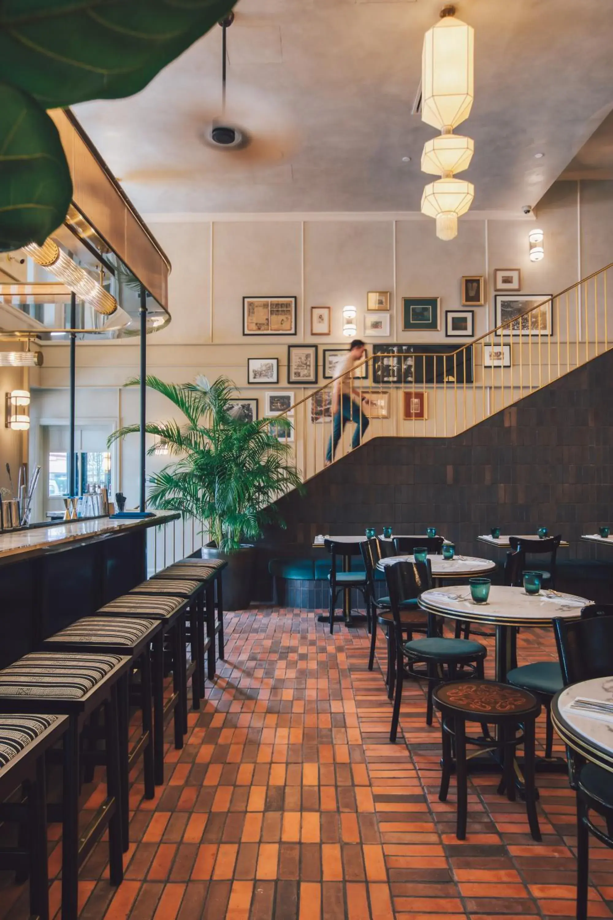 Restaurant/places to eat in The Chow Kit - an Ormond Hotel Restaurant/places to eat in The Chow Kit - an Ormond Hotel