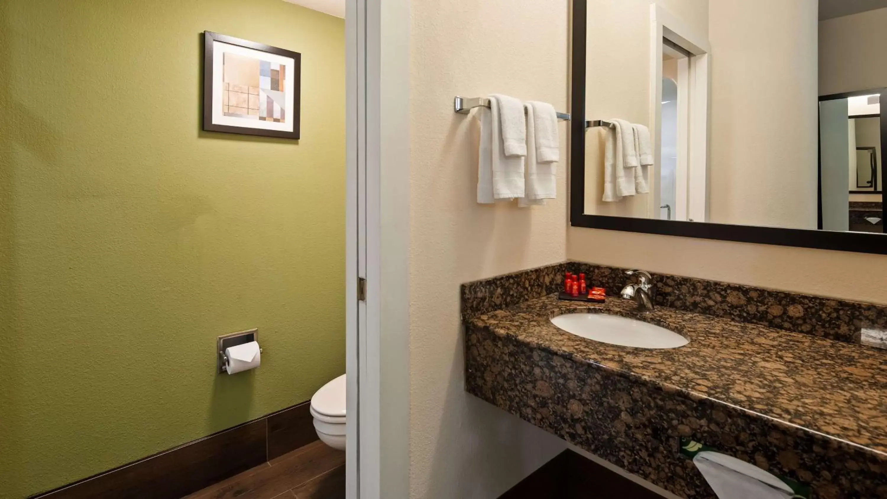 Bathroom in SureStay Plus Hotel by Best Western Macon West