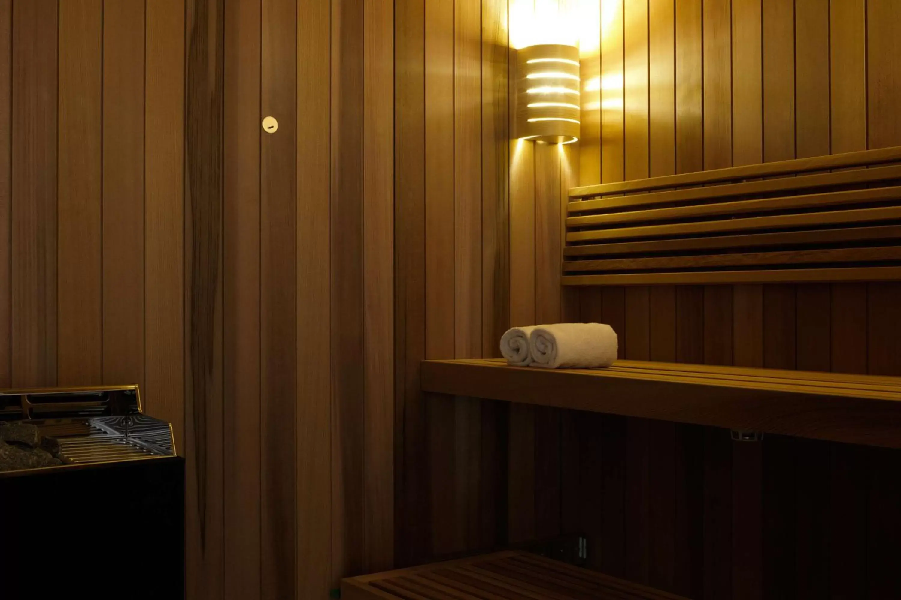 Sauna in Scandic Continental