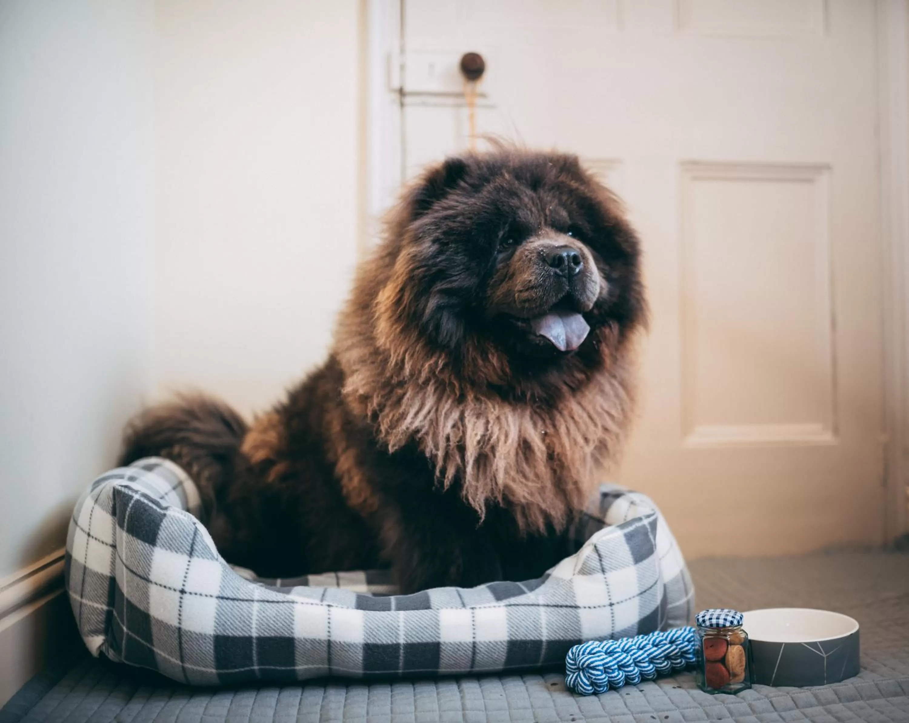 Dining area in Black Bull Hotel