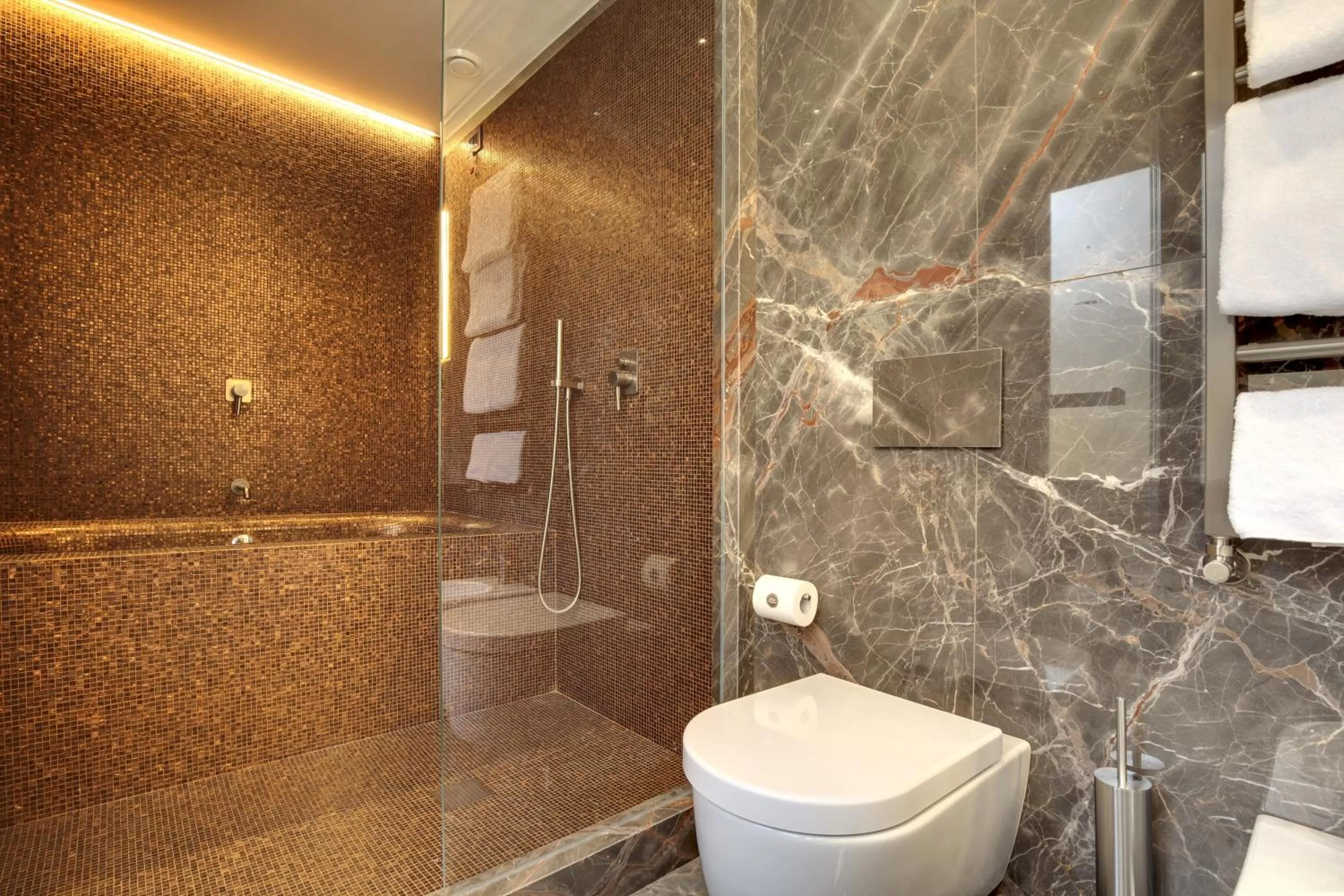 Shower in Hotel Donà Palace