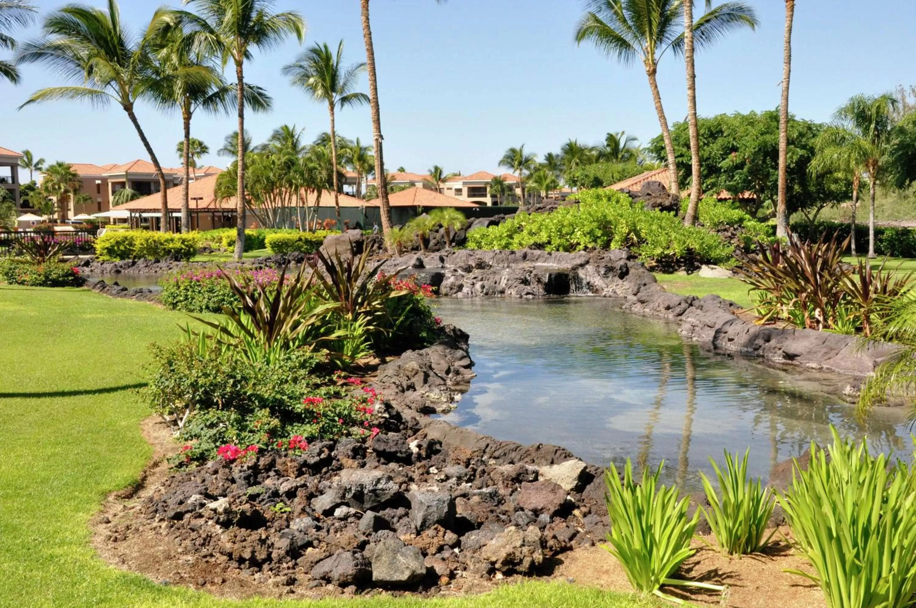 Garden in Hilton Grand Vacations Club Kohala Suites Waikoloa