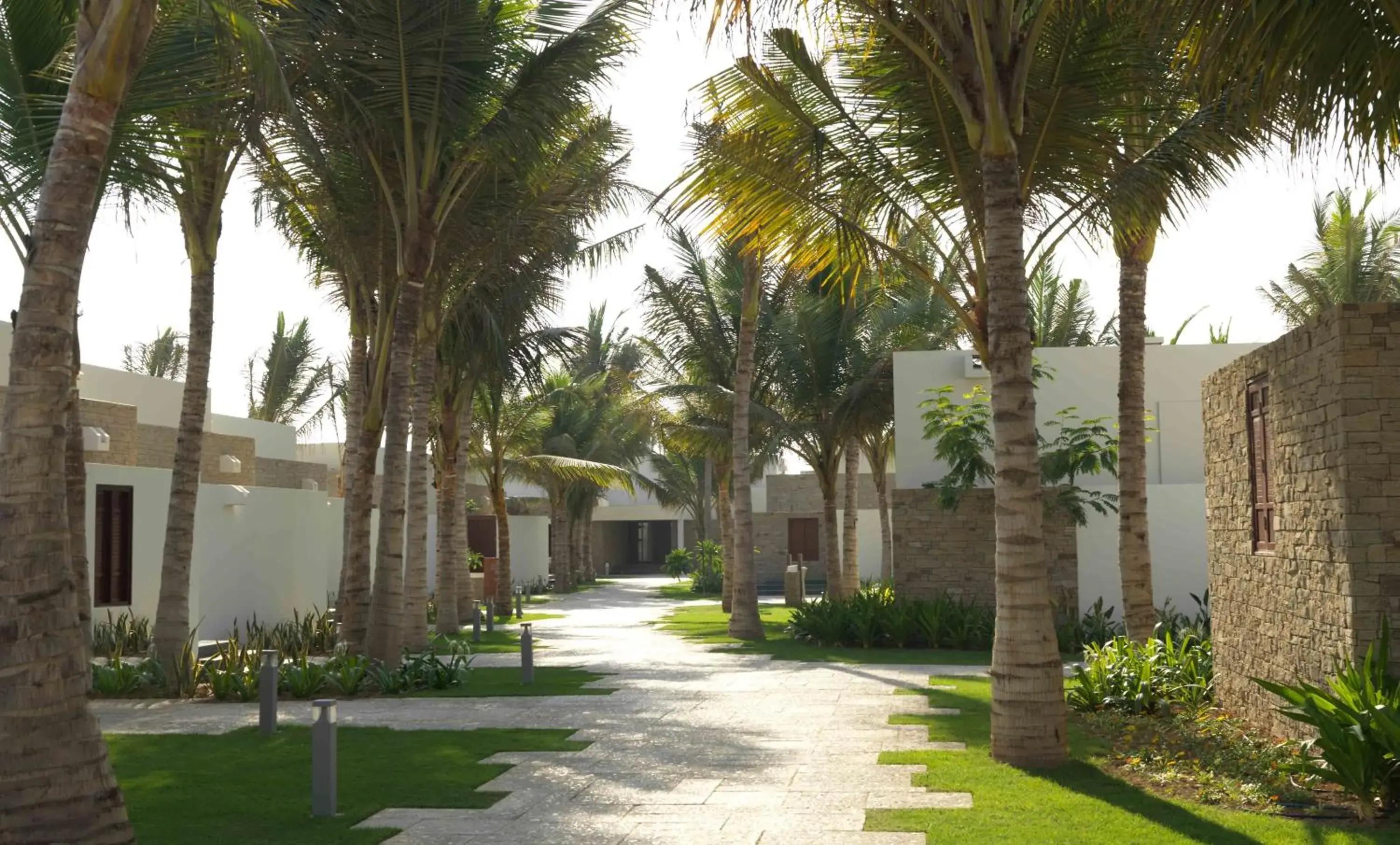 Garden view in Al Baleed Resort Salalah by Anantara Garden view in Al Baleed Resort Salalah by Anantara