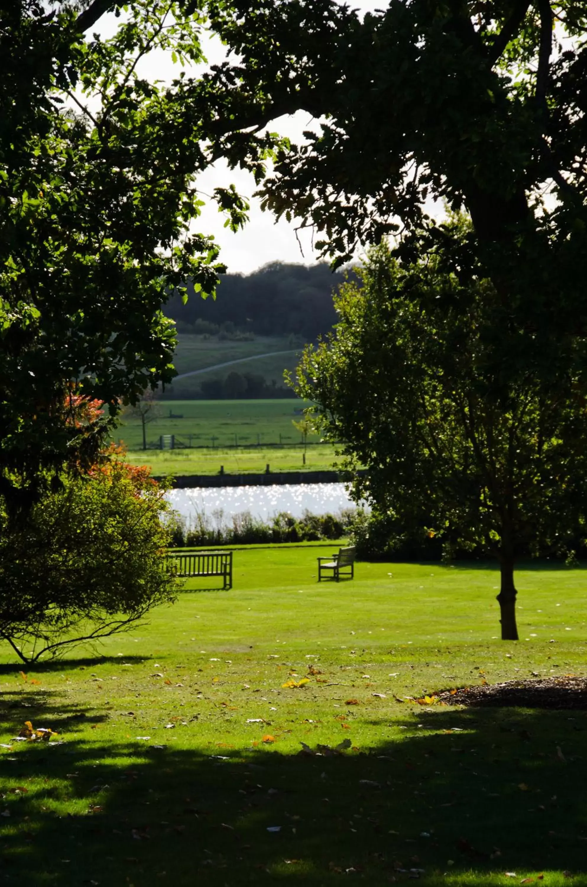 Garden in Greenlands Hotel