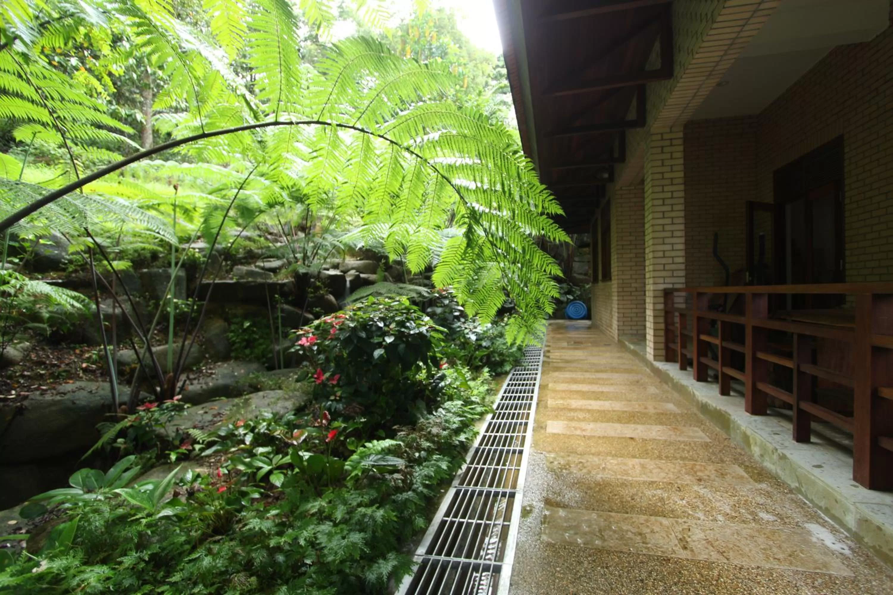 View (from property/room) in Harmony Valley Retreat