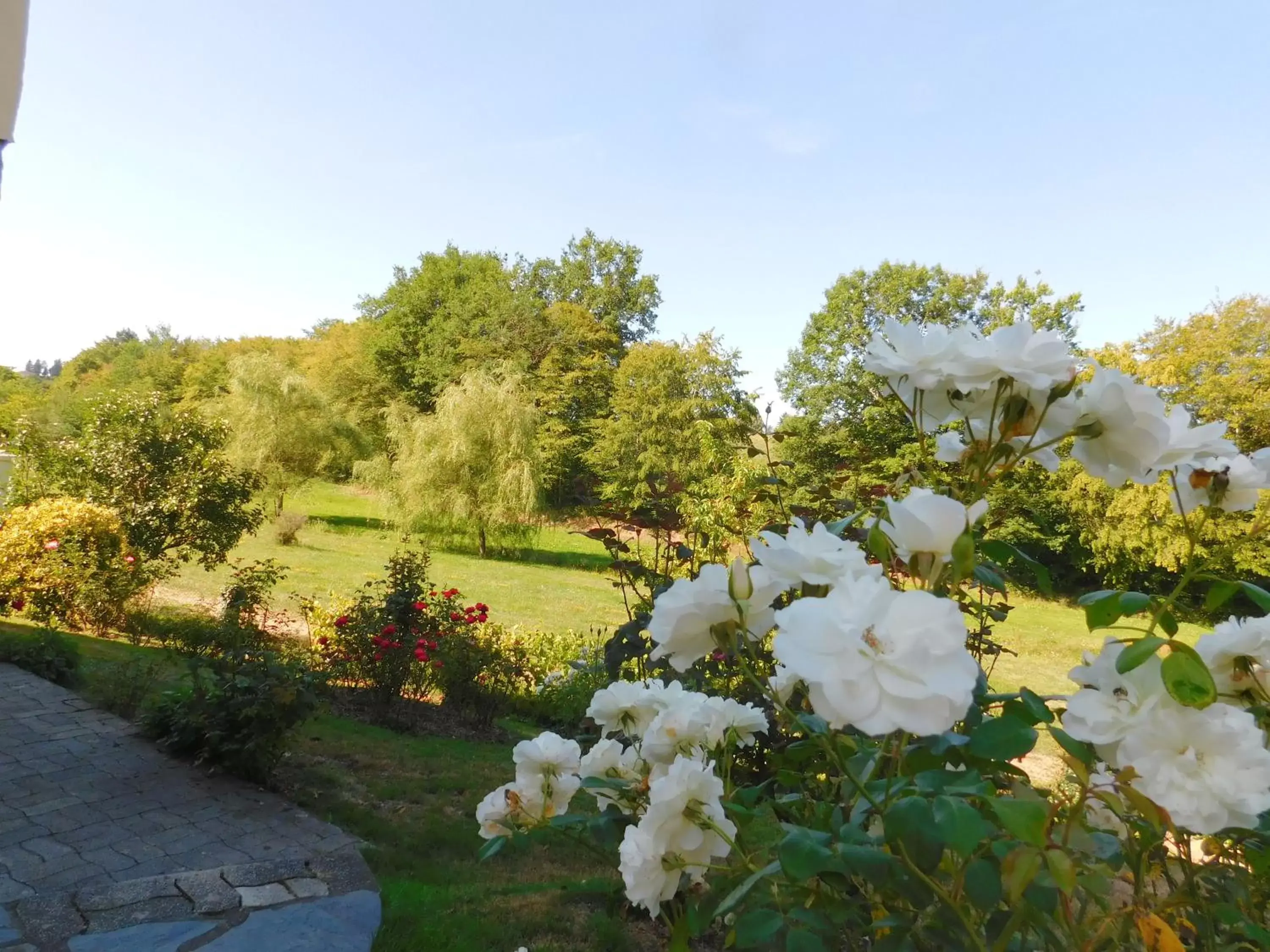 On site, Garden in Du coq à l'âme