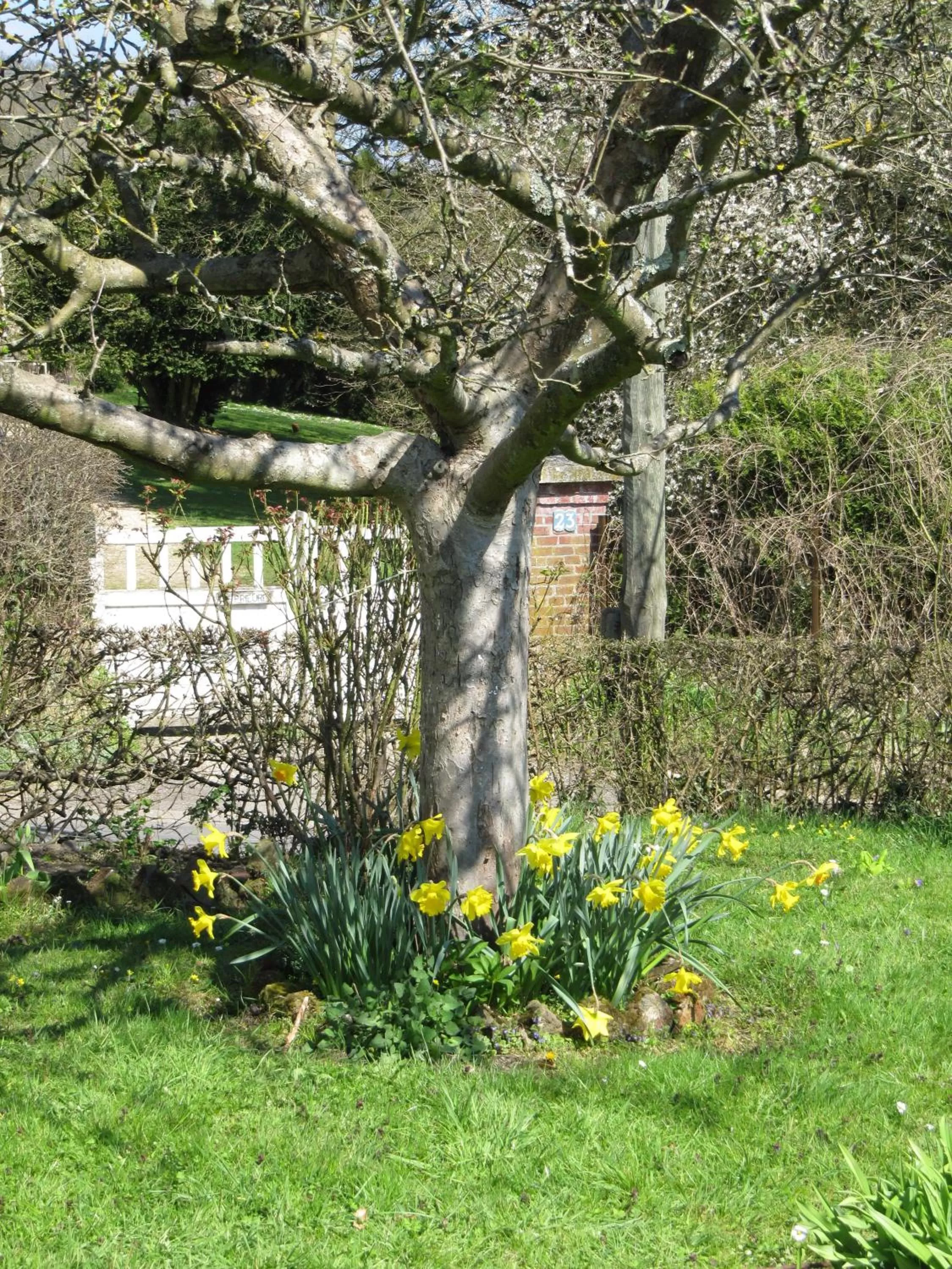 La Roseraie du Prieure