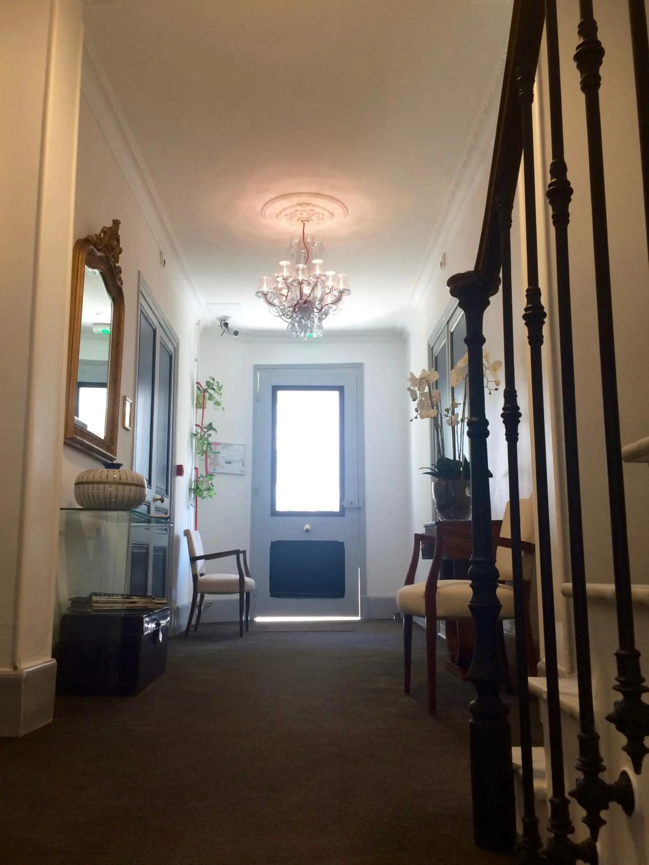 Balcony/Terrace in Hotel Villa Rose