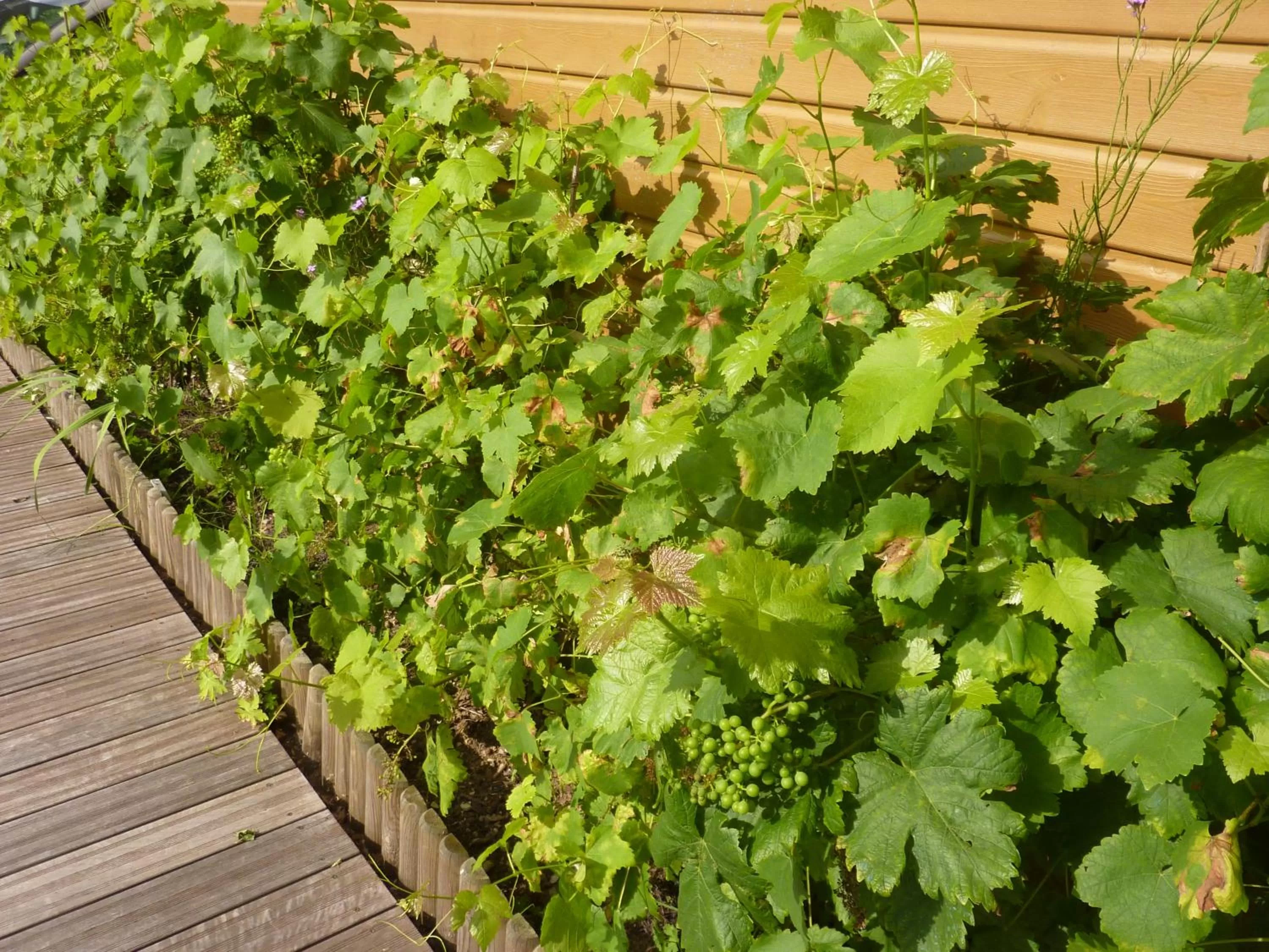 Decorative detail in Les Chambres D'oriane