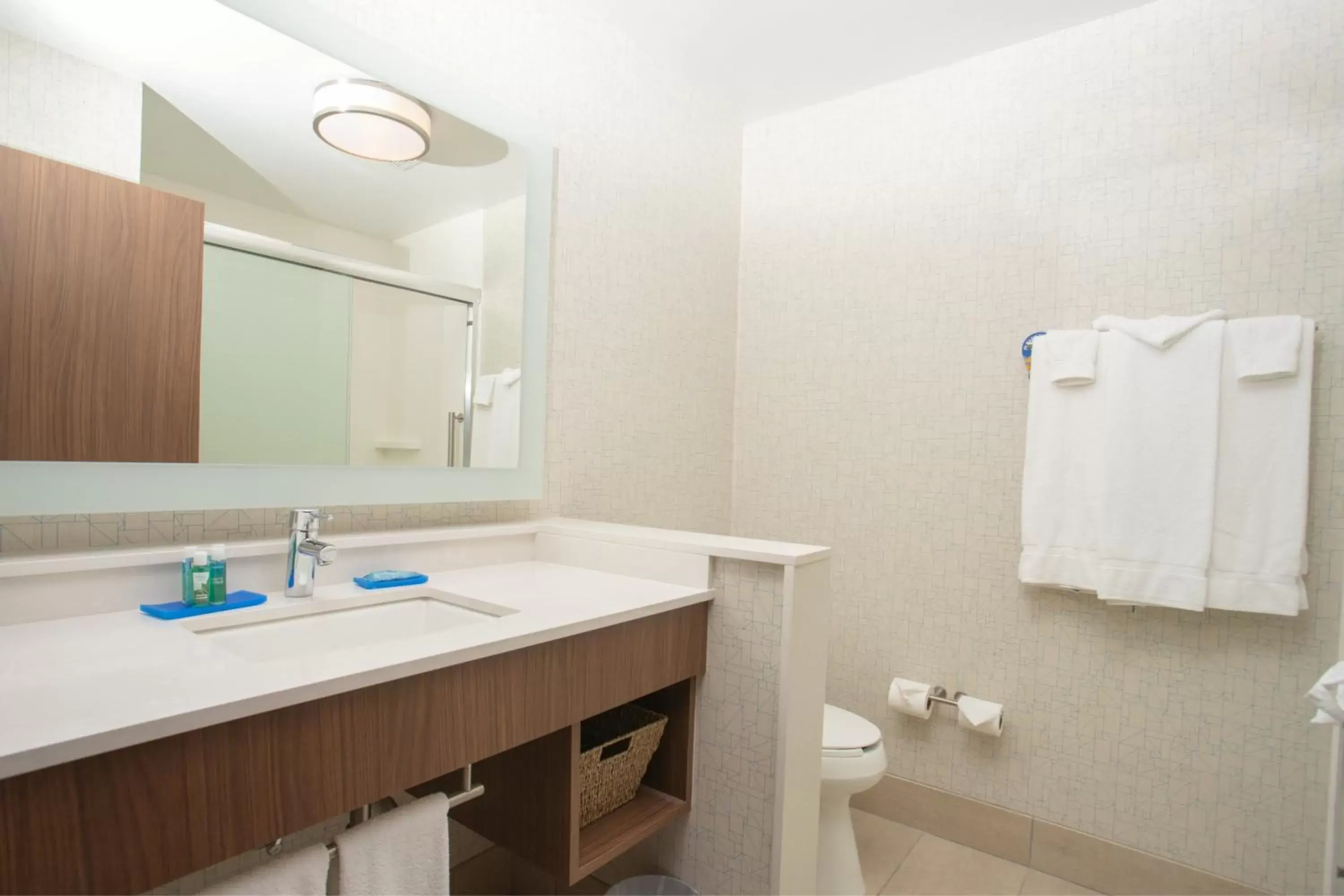 Bathroom in Holiday Inn Express Houghton-Keweenaw, an IHG Hotel