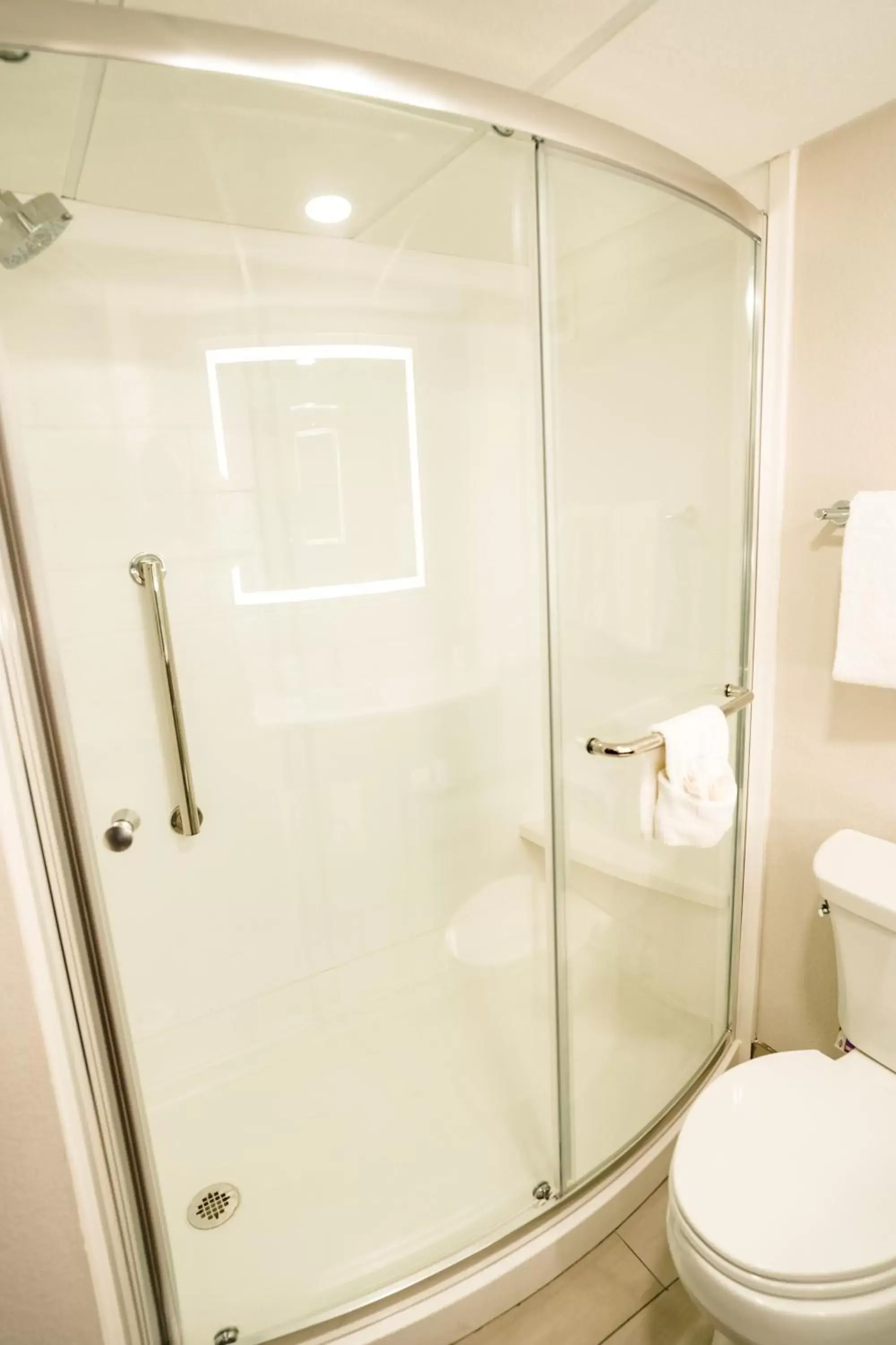 Shower, Bathroom in Holiday Inn Express Hotel & Suites Knoxville-North-I-75 Exit 112, an IHG Hotel