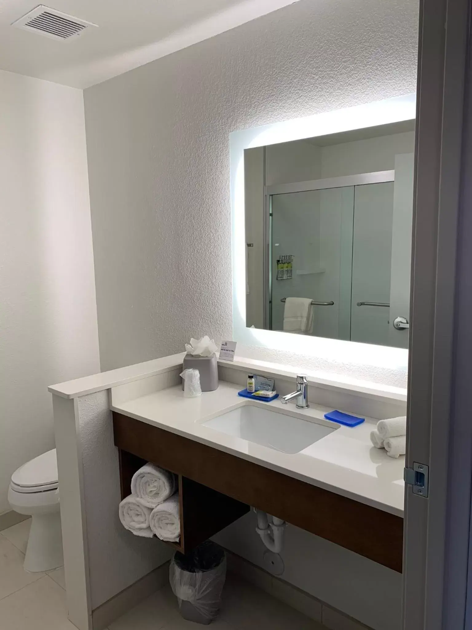 Bathroom in Holiday Inn Express & Suites - Aurora Medical Campus, an IHG Hotel