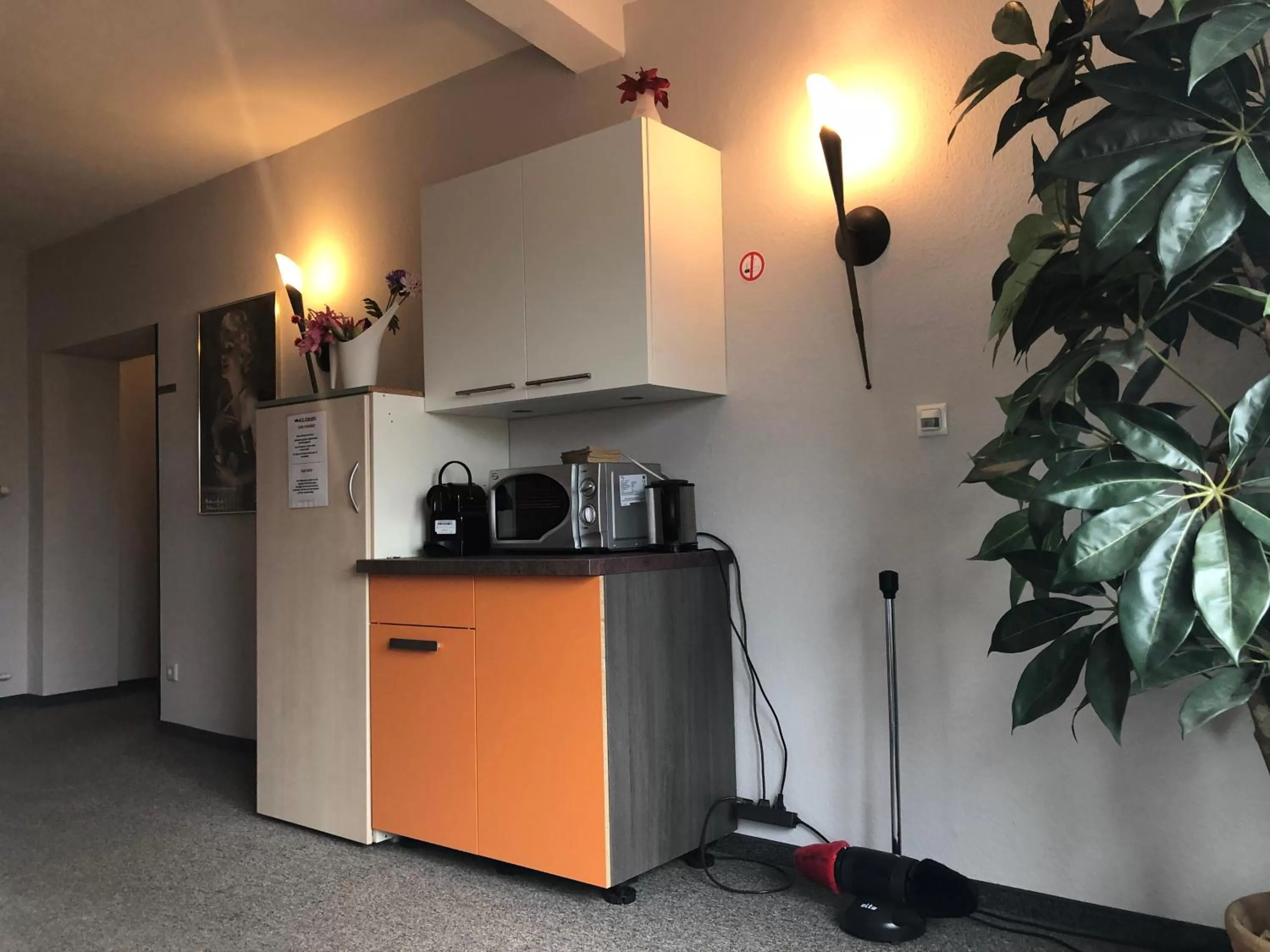 Kitchen/Kitchenette in Hotel Zum Kastanienbaum