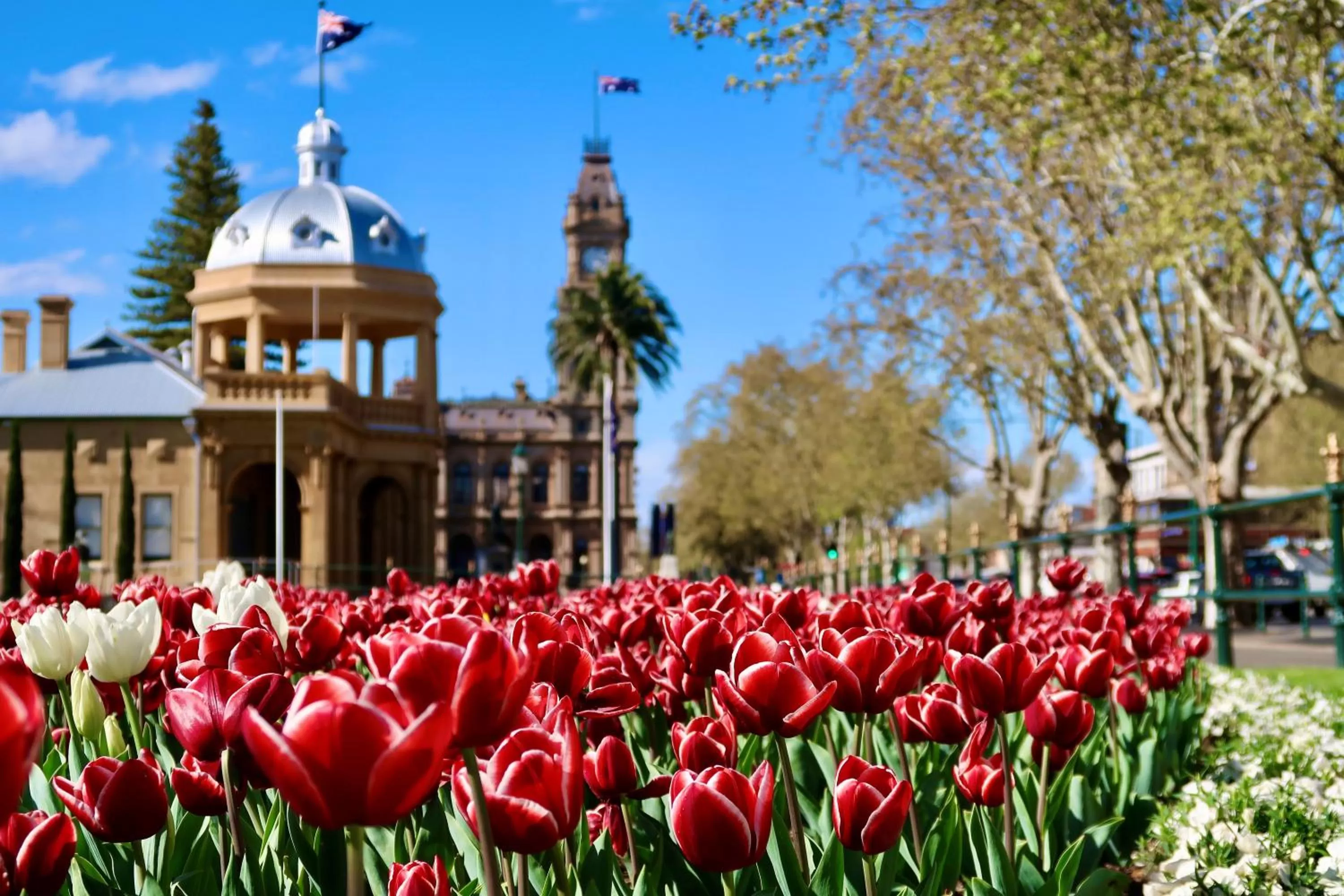 Off site in Julie-Anna, Bendigo
