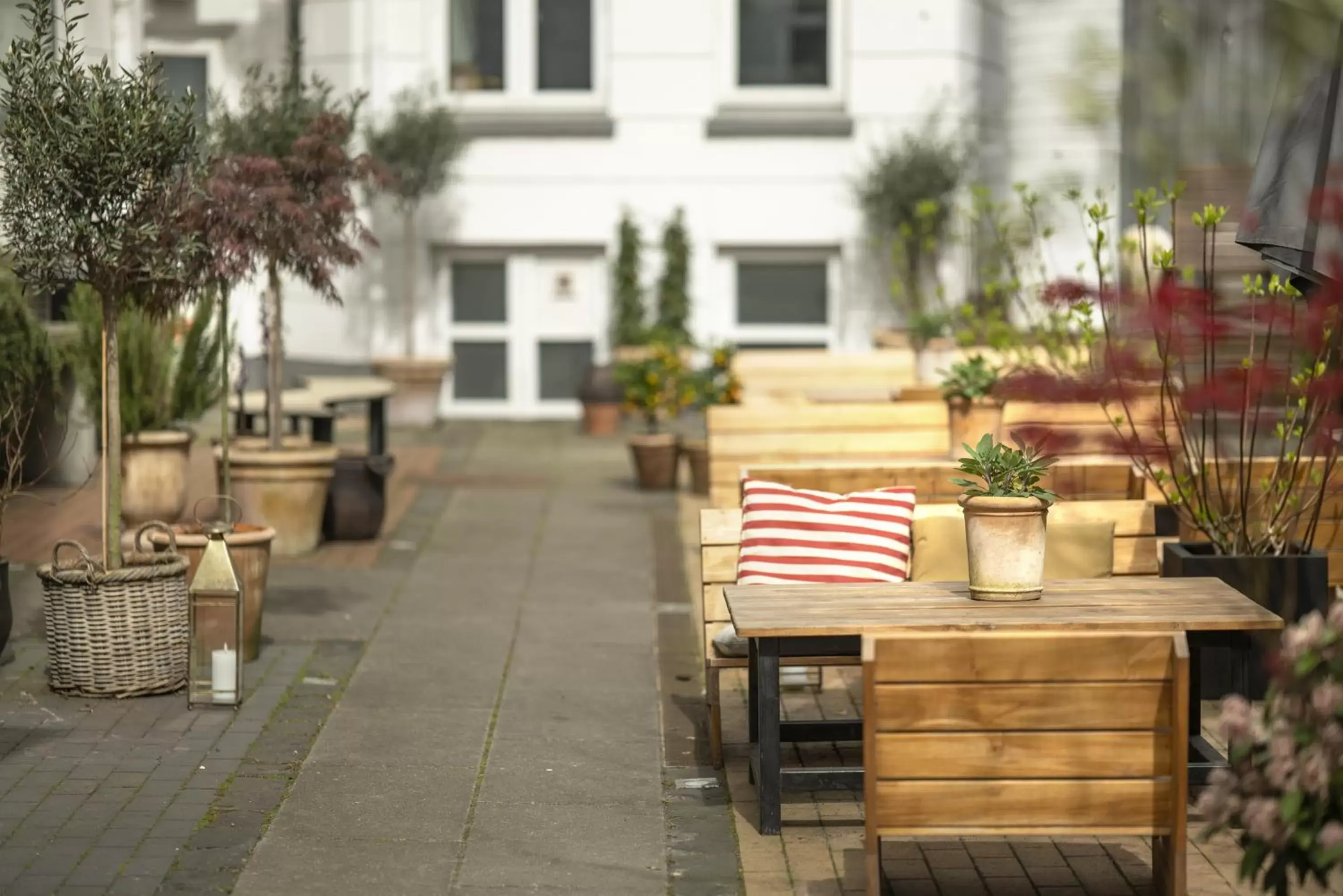 Garden in Hotel Mayfair