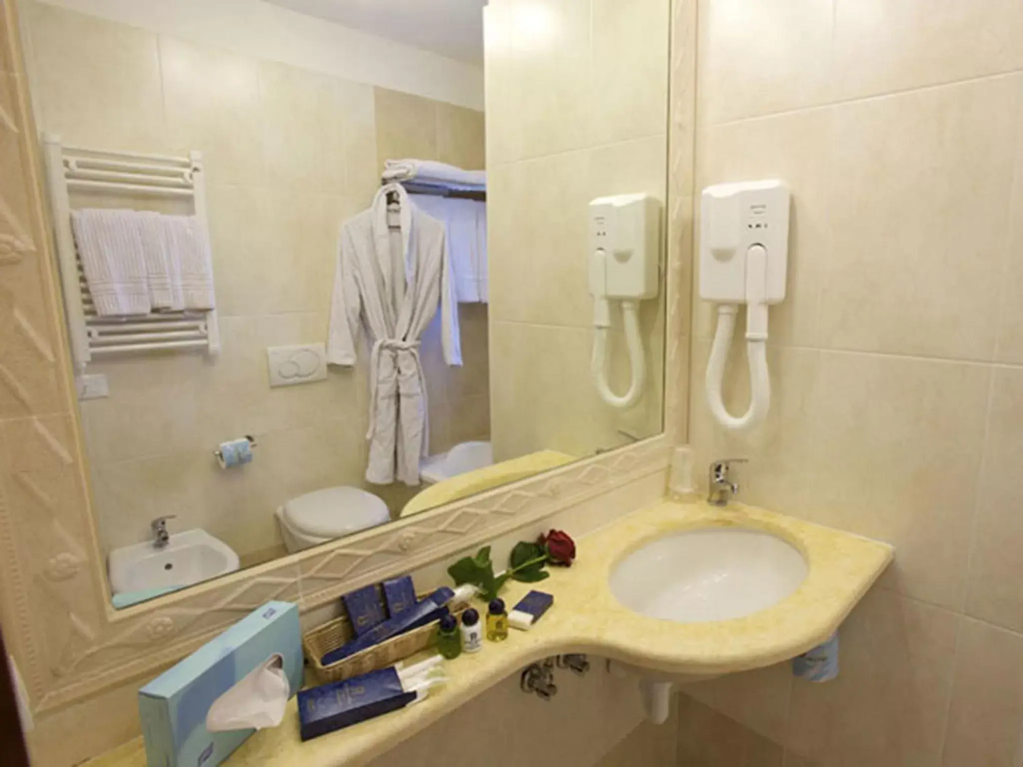 Standard Single Room with Internal View in Giotto Hotel & Spa Standard Single Room with Internal View in Giotto Hotel & Spa