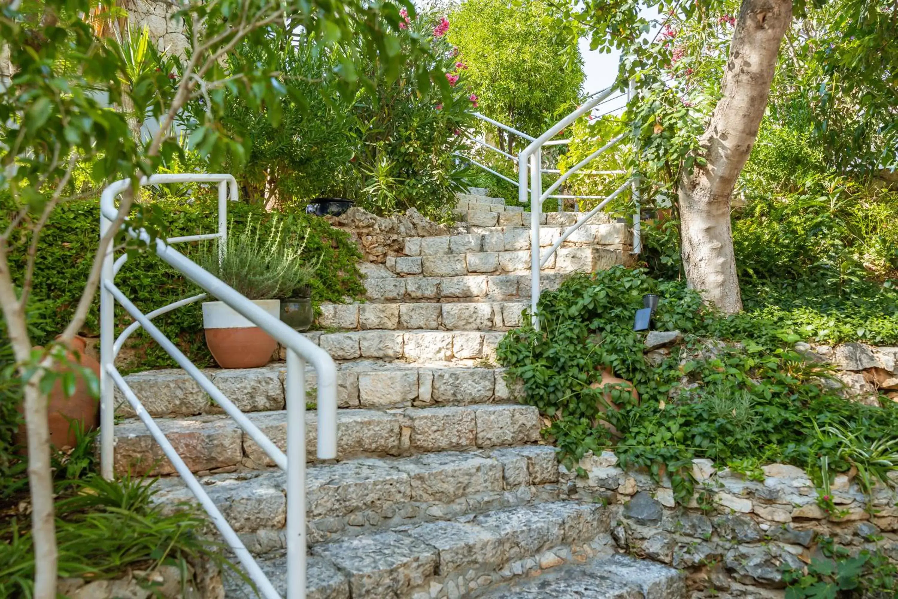 Property building in Olea Nova Hotel Property building in Olea Nova Hotel