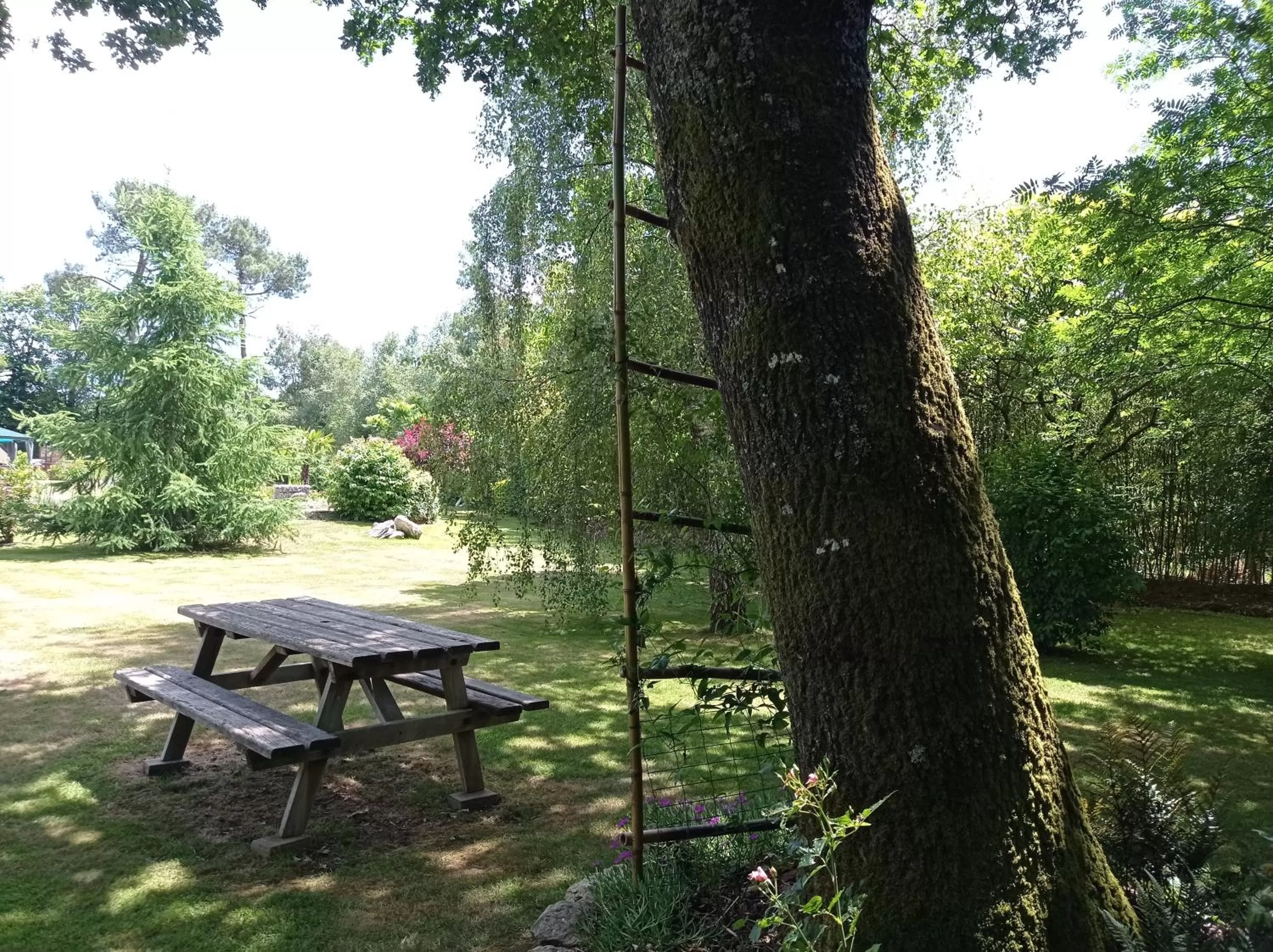 chambre chez l habitant
