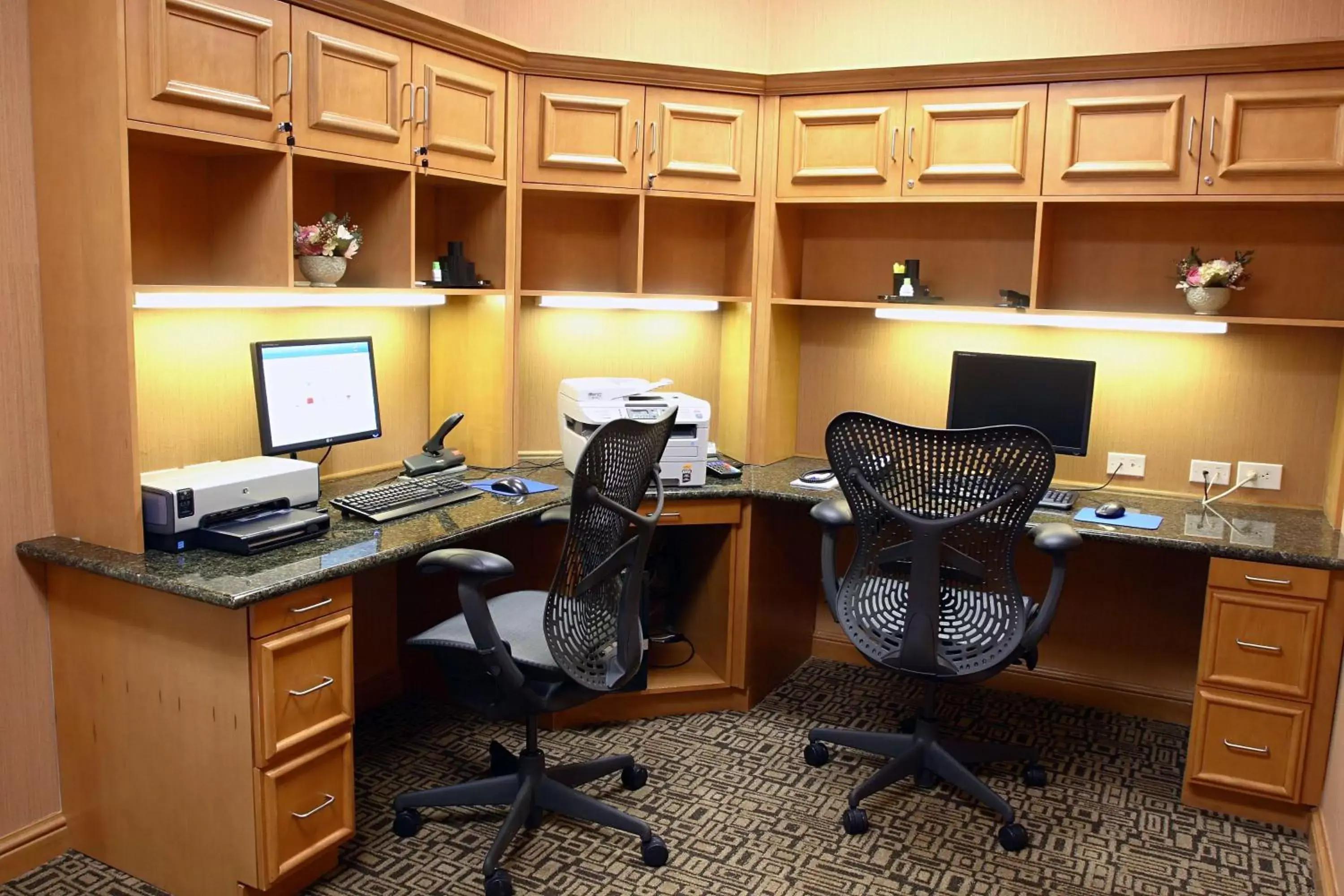 Business facilities, Business Area/Conference Room in Hilton Garden Inn Chesapeake/Suffolk