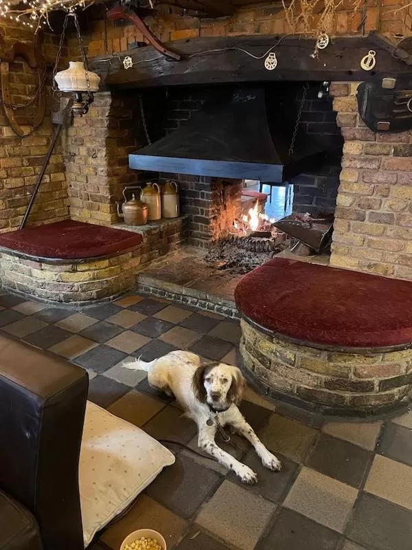 Pets in The King William IV