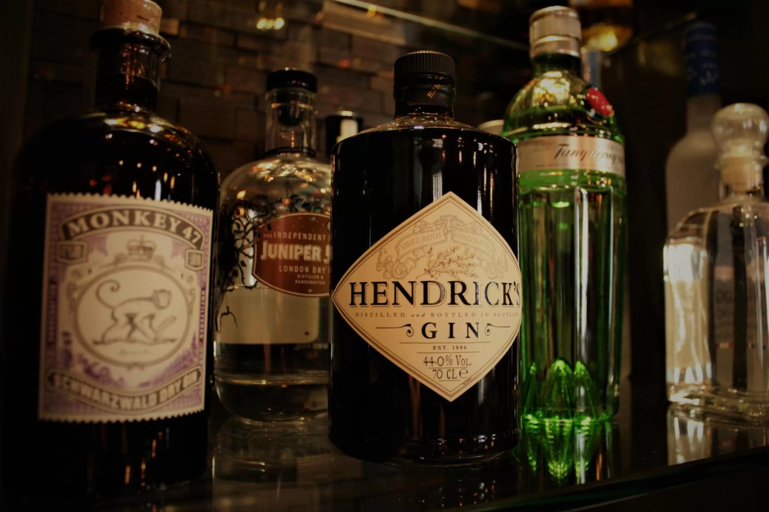 Lounge or bar in alexxanders Hotel & Boardinghouse, Restaurant