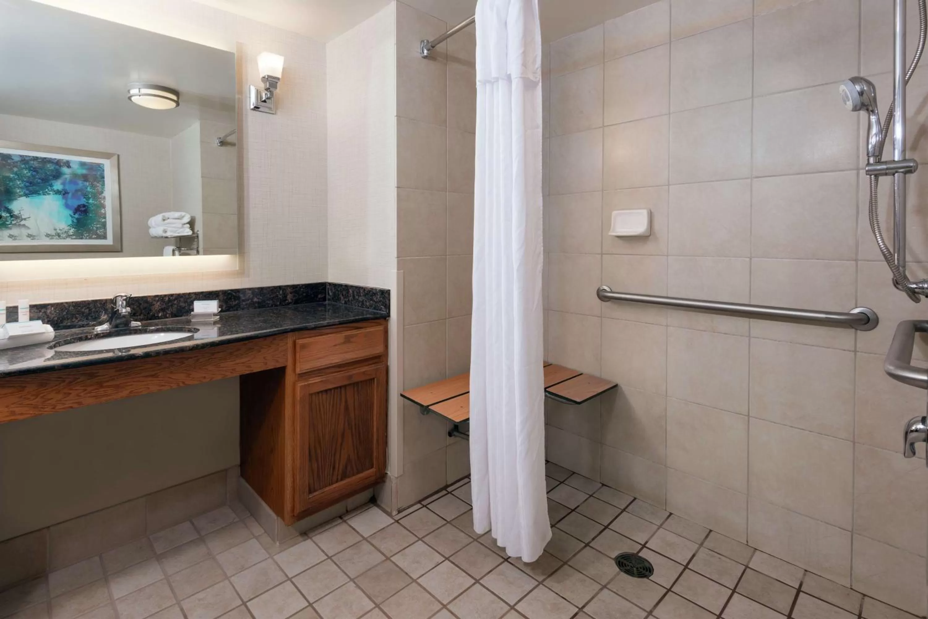 Bathroom in Homewood Suites by Hilton Buffalo-Amherst