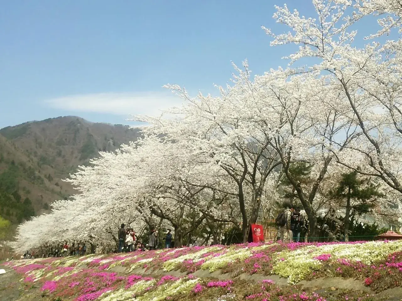 Spring in Lakeland Hotel Mizunosato