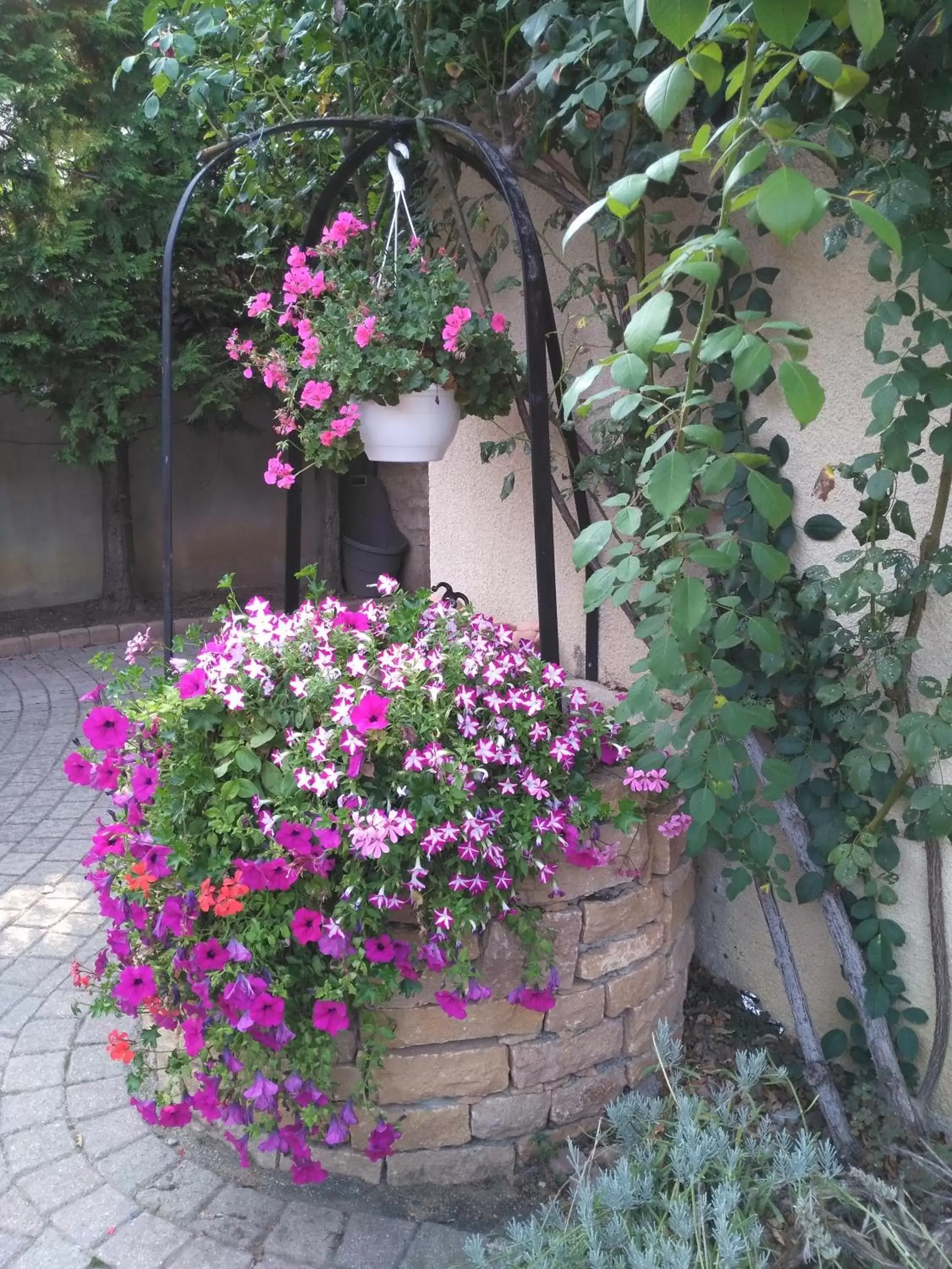 Garden in Chambres d'hôtes - Les Varennes