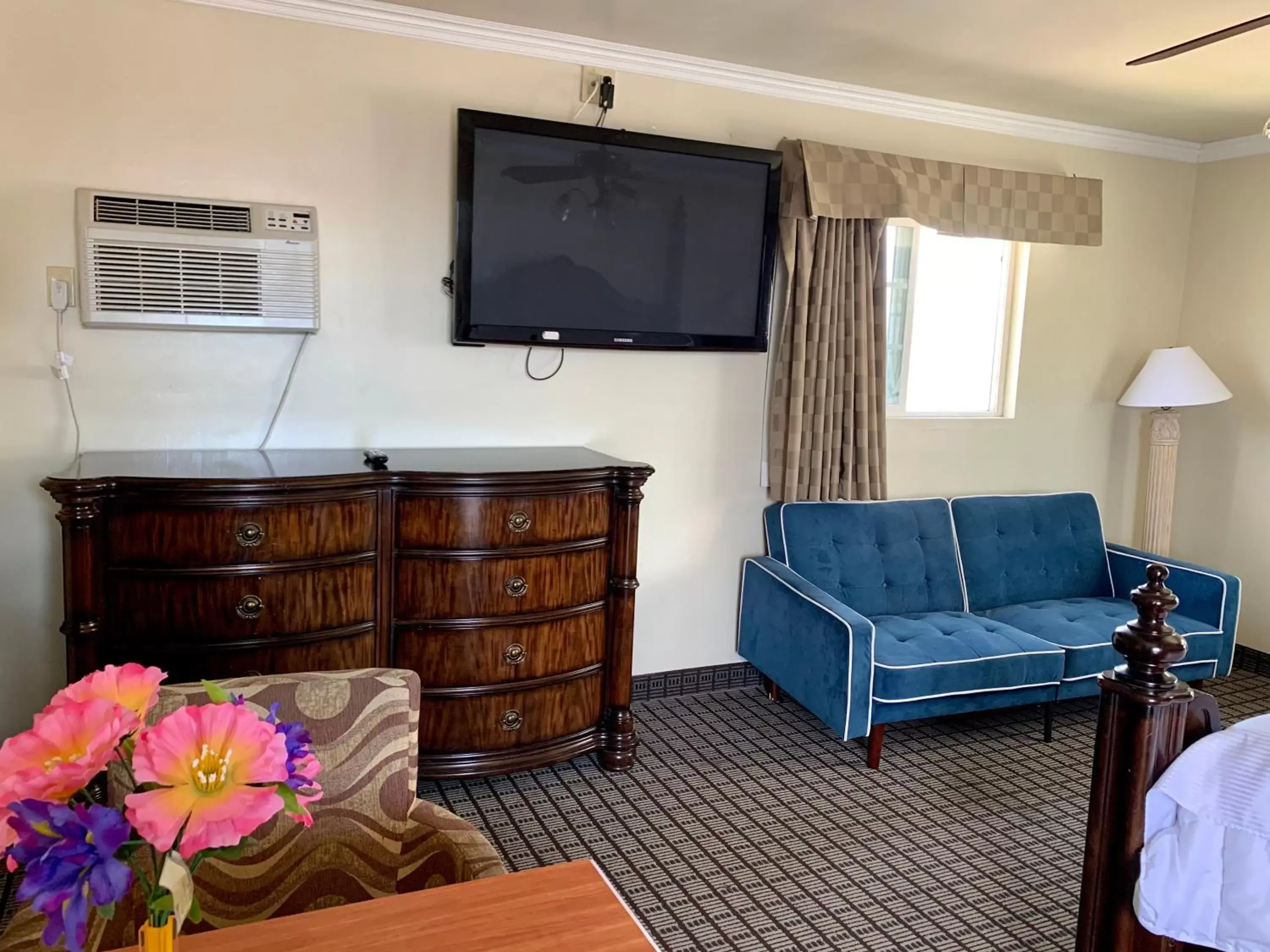 TV/Entertainment Center in Viking Motel-Ventura