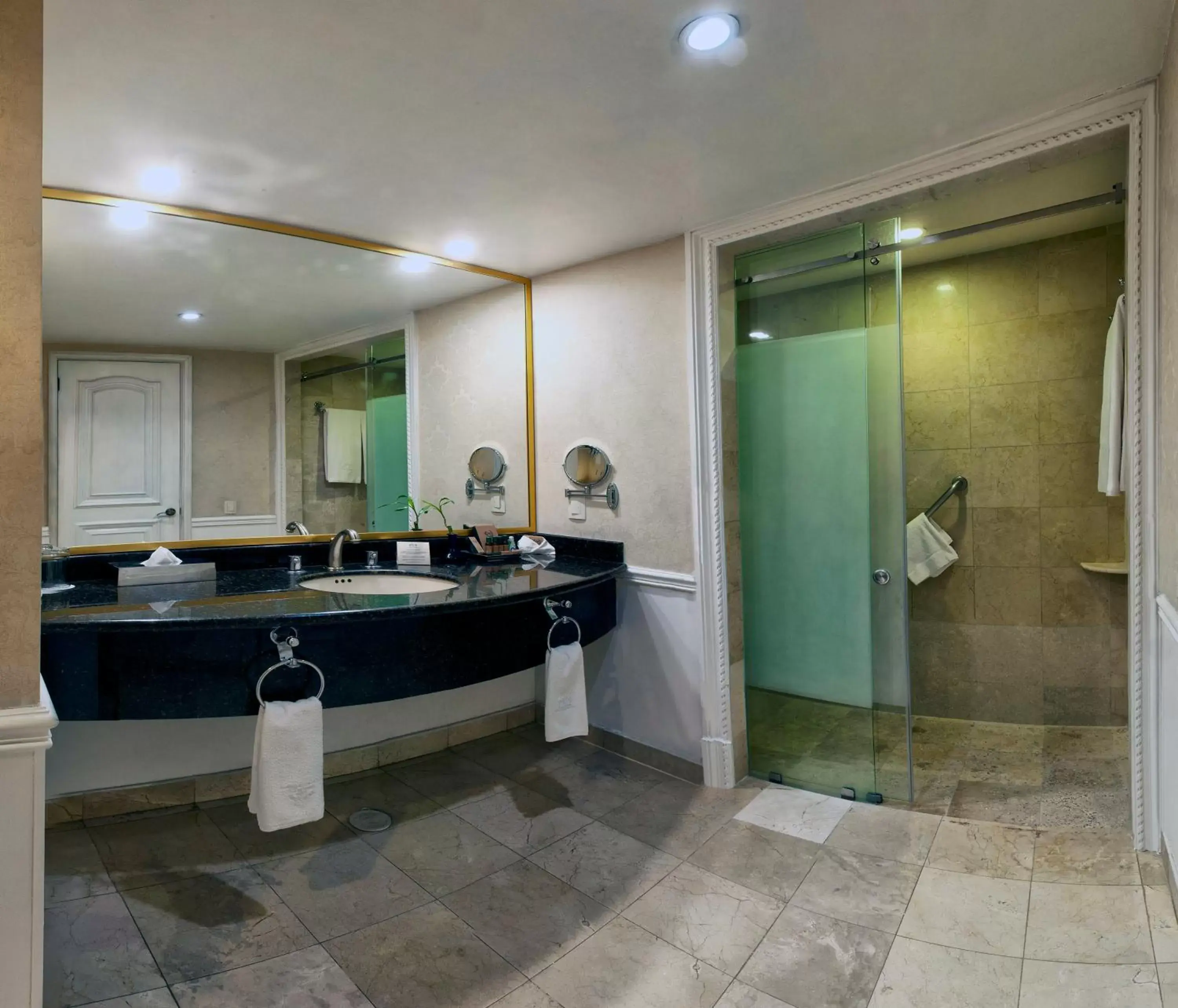 Bathroom in Gran Hotel Ciudad de Mexico