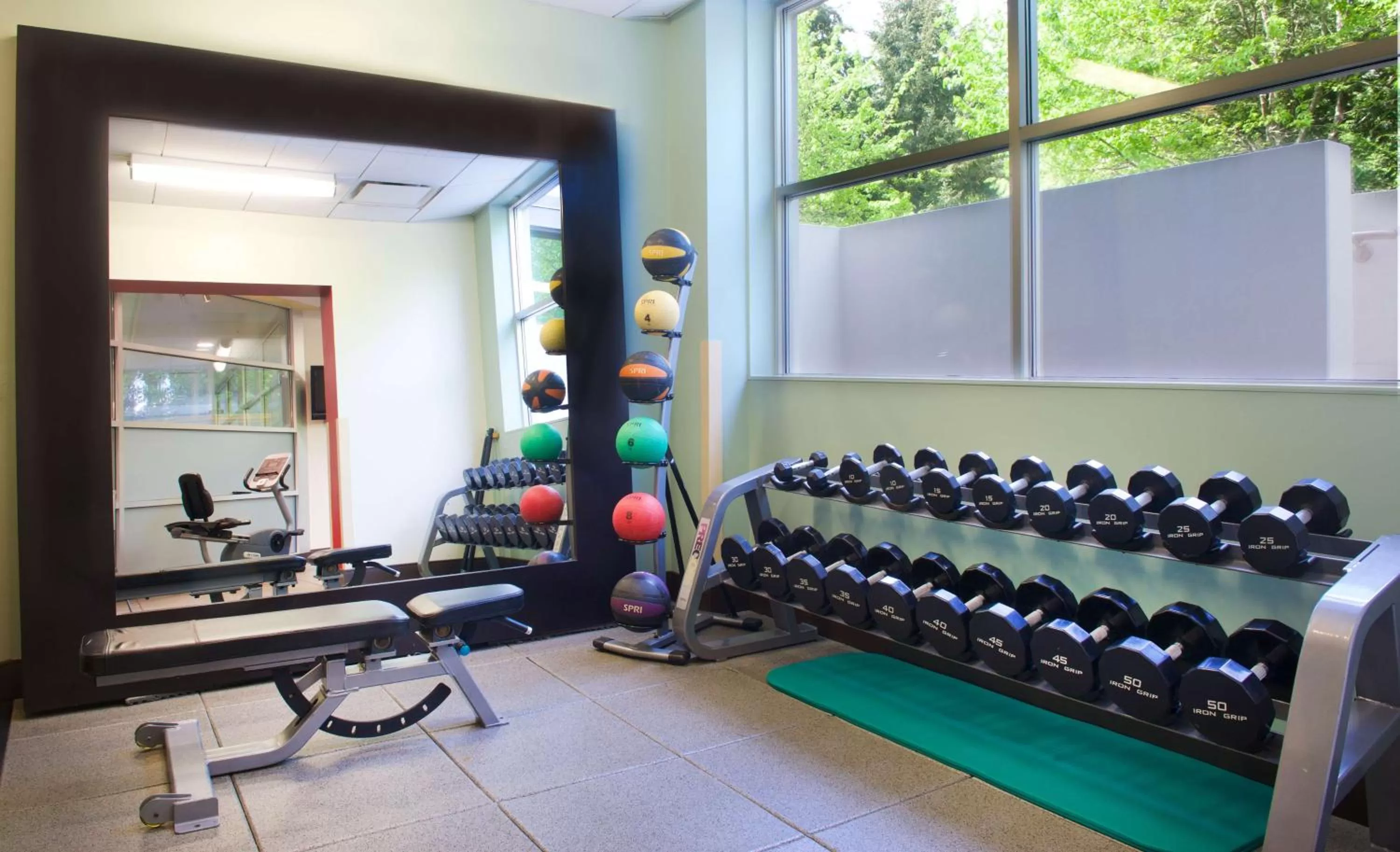 Fitness centre/facilities in Embassy Suites by Hilton Seattle Bellevue