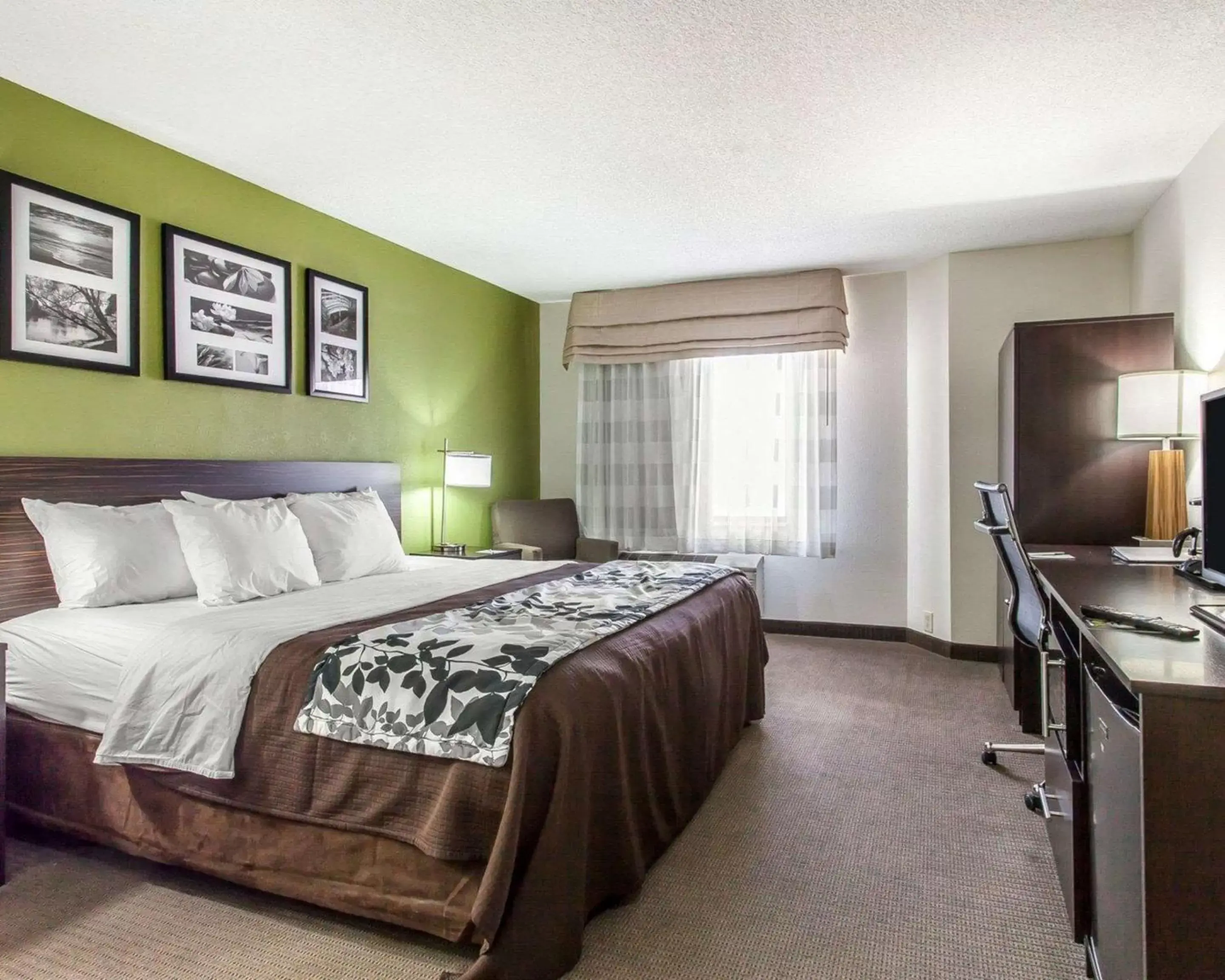 Photo of the whole room, Bed in Sleep Inn & Suites Near I-90 and Ashtabula