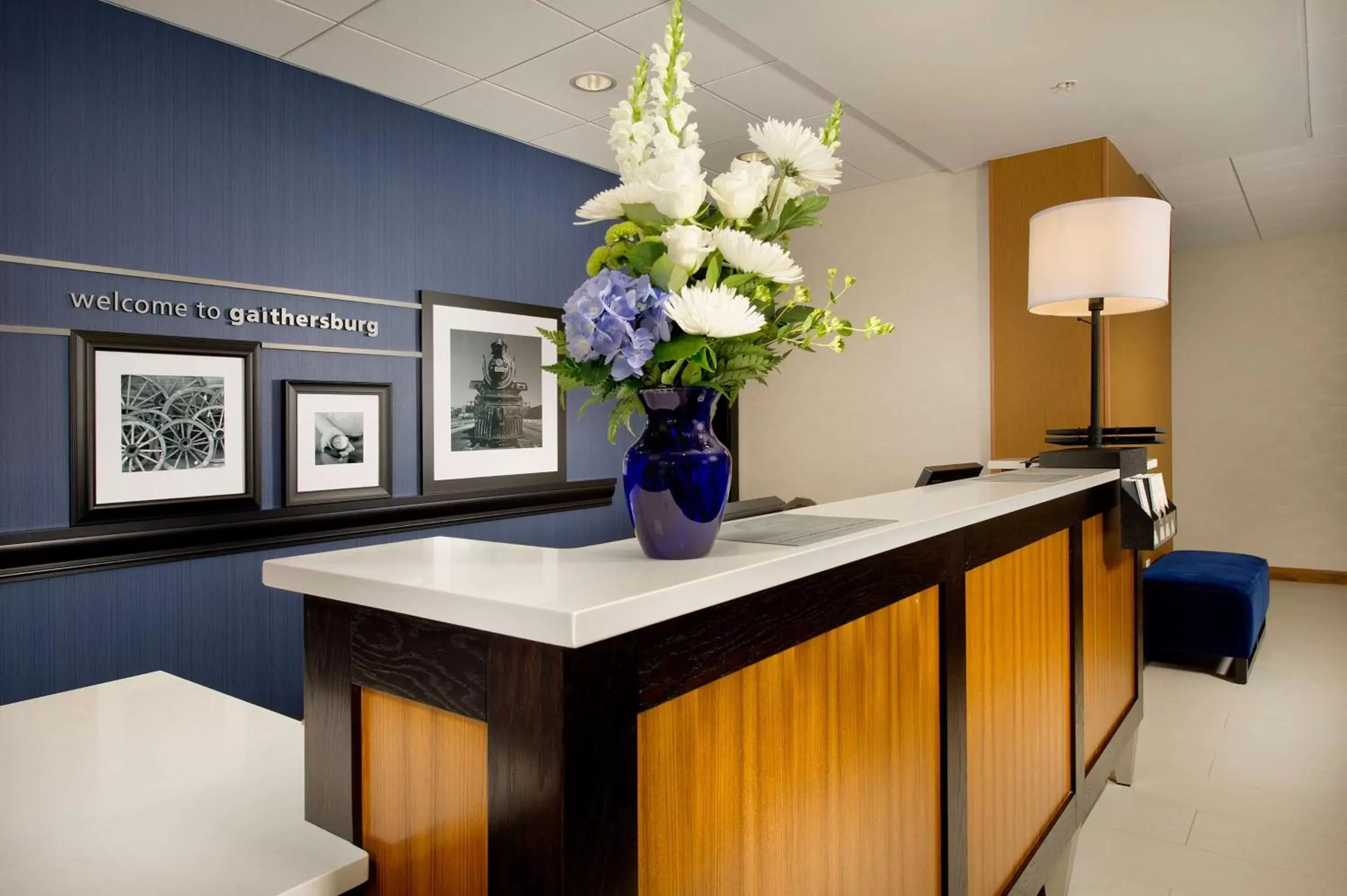 Lobby or reception, Lobby/Reception in Hampton Inn and Suites Washington DC North/Gaithersburg