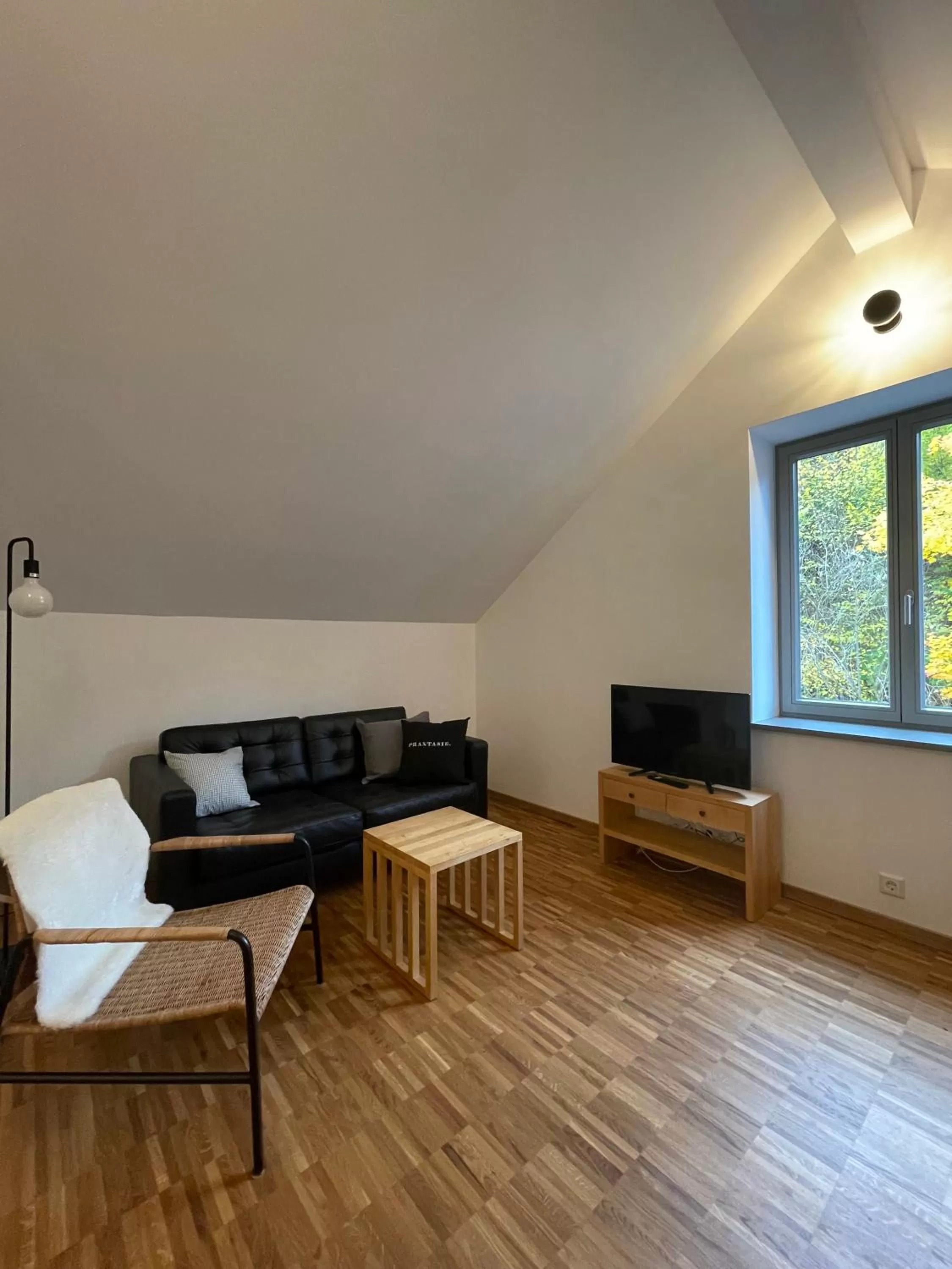 TV and multimedia in Gästehaus Phantasie