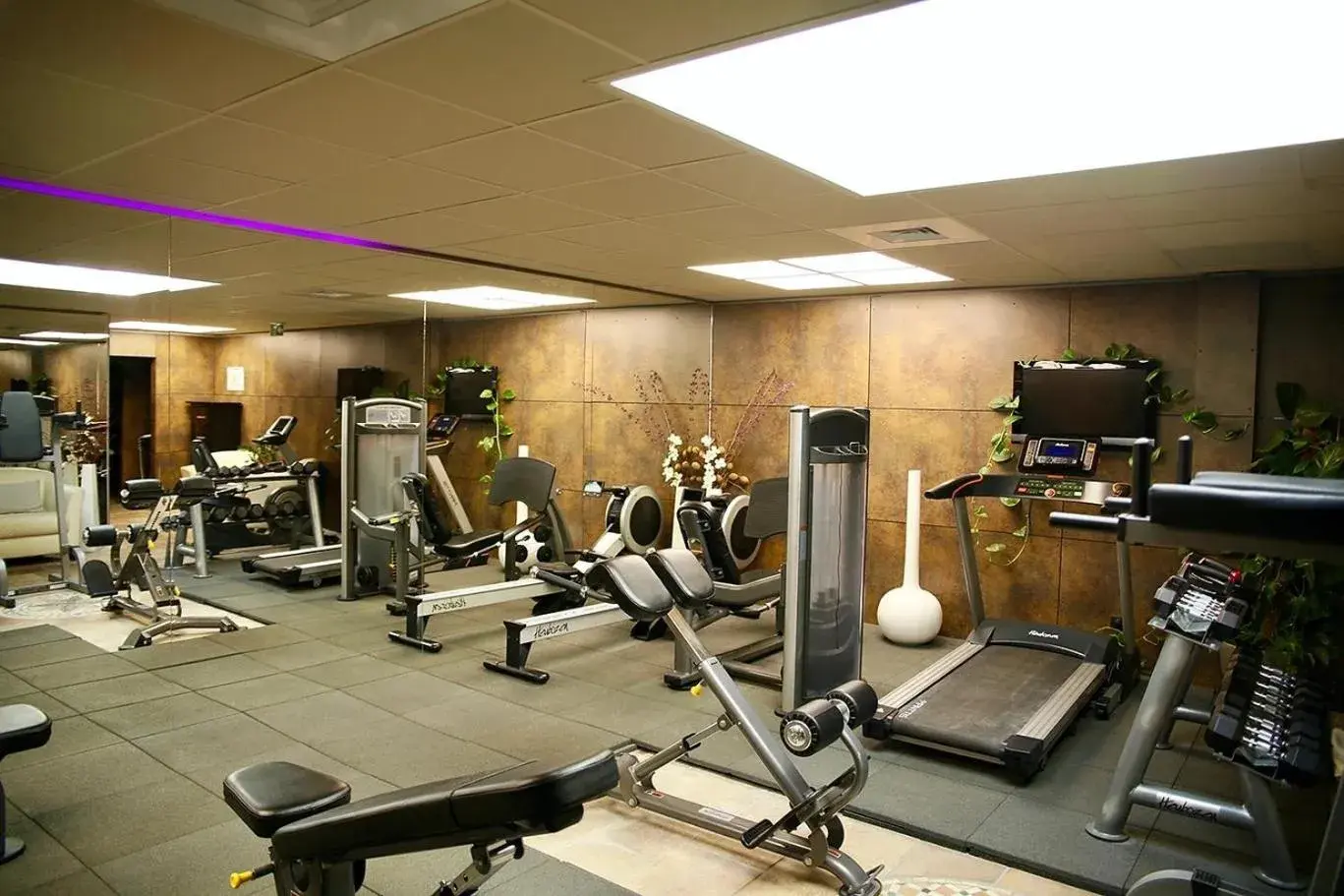 Fitness centre/facilities, Fitness Center/Facilities in La Villa Mazarin