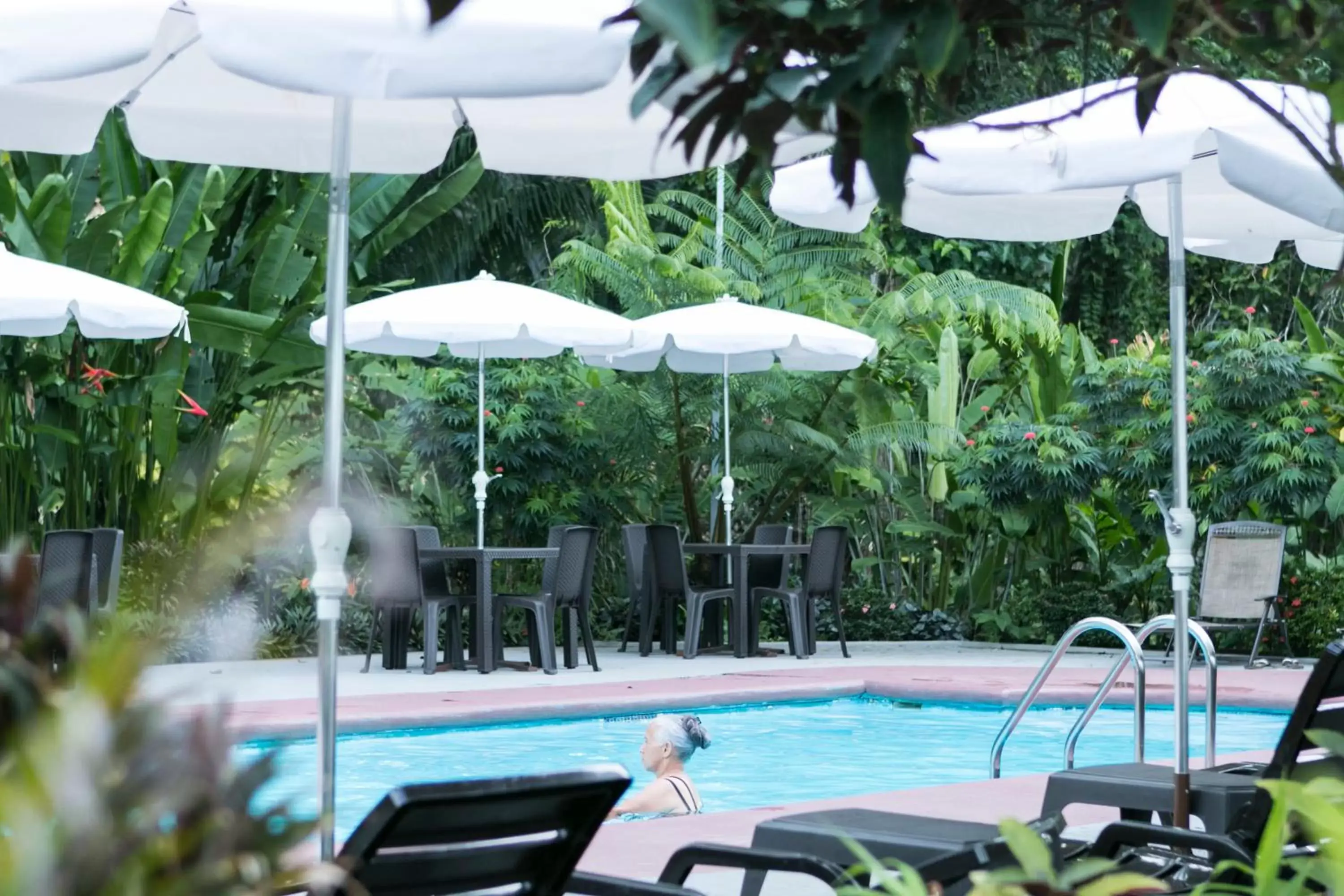 Swimming Pool in Hotel La Isla Inn